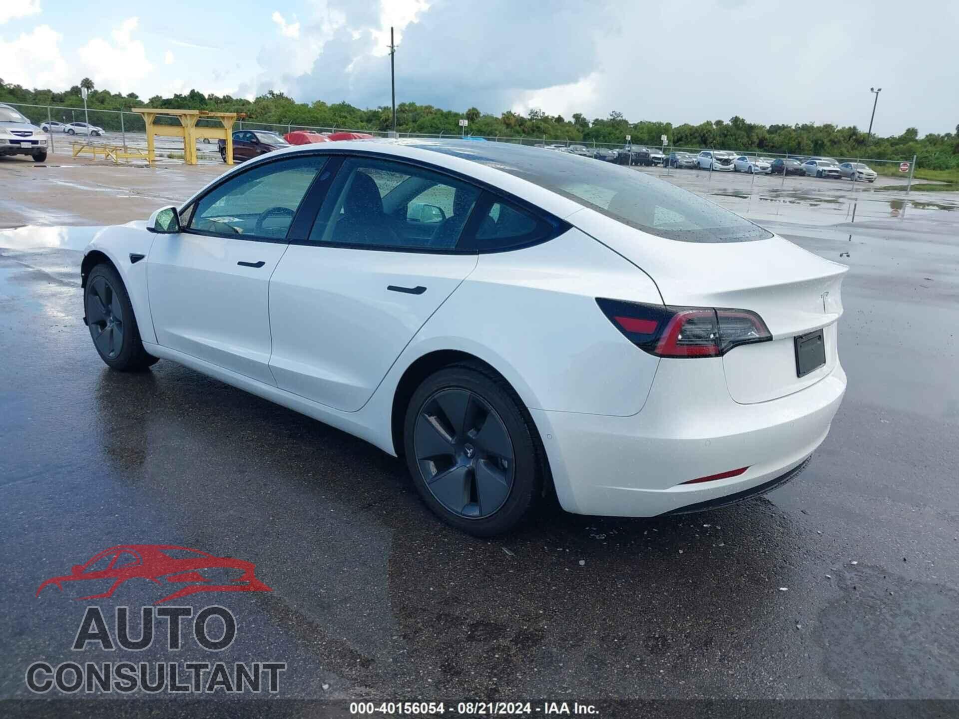 TESLA MODEL 3 2021 - 5YJ3E1EA2MF089387
