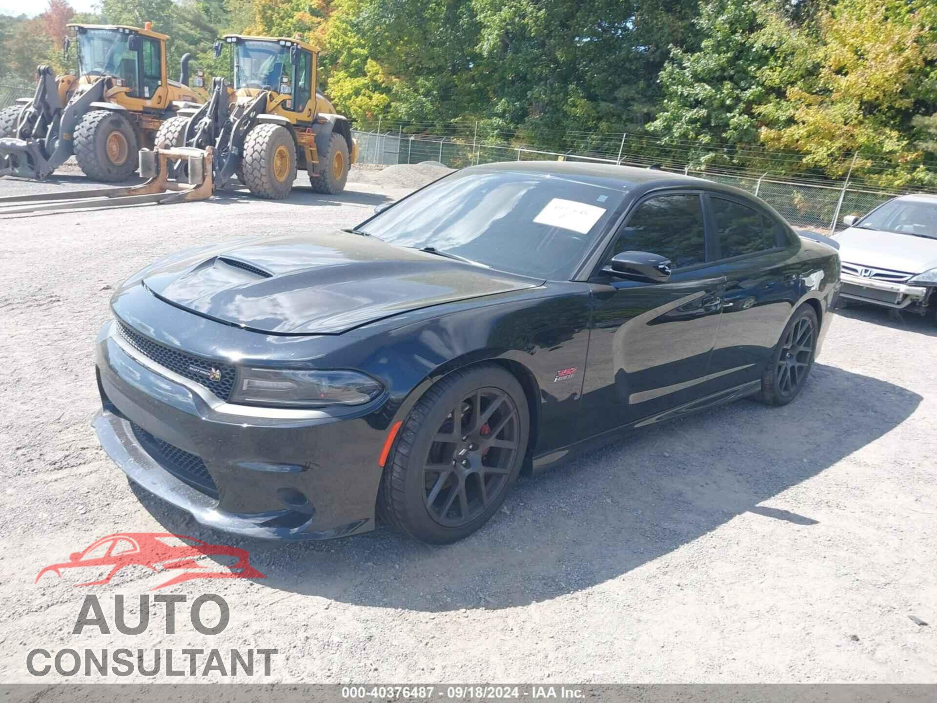DODGE CHARGER 2017 - 2C3CDXGJ2HH605724