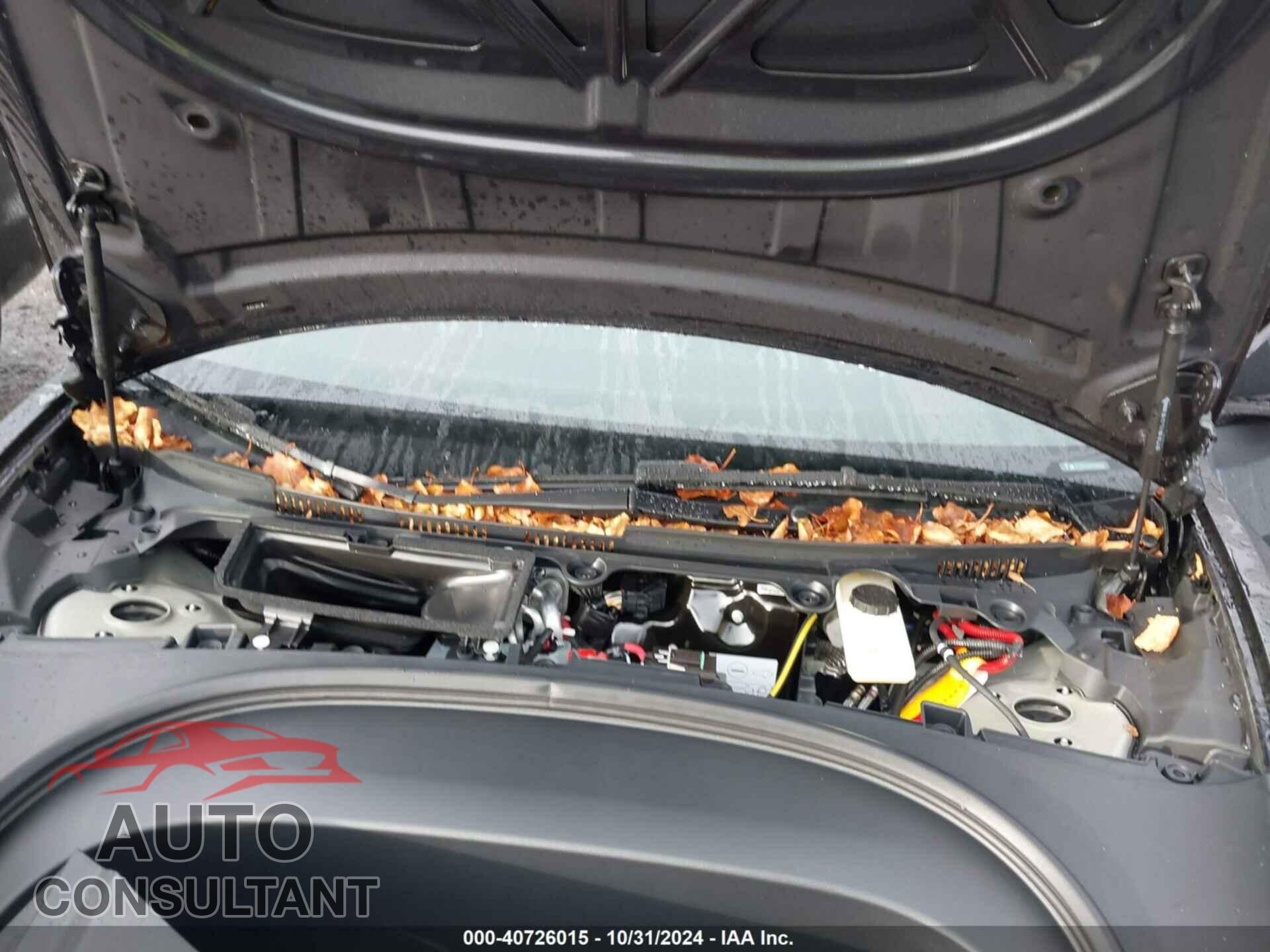 TESLA MODEL 3 2024 - 5YJ3E1EA8RF865982