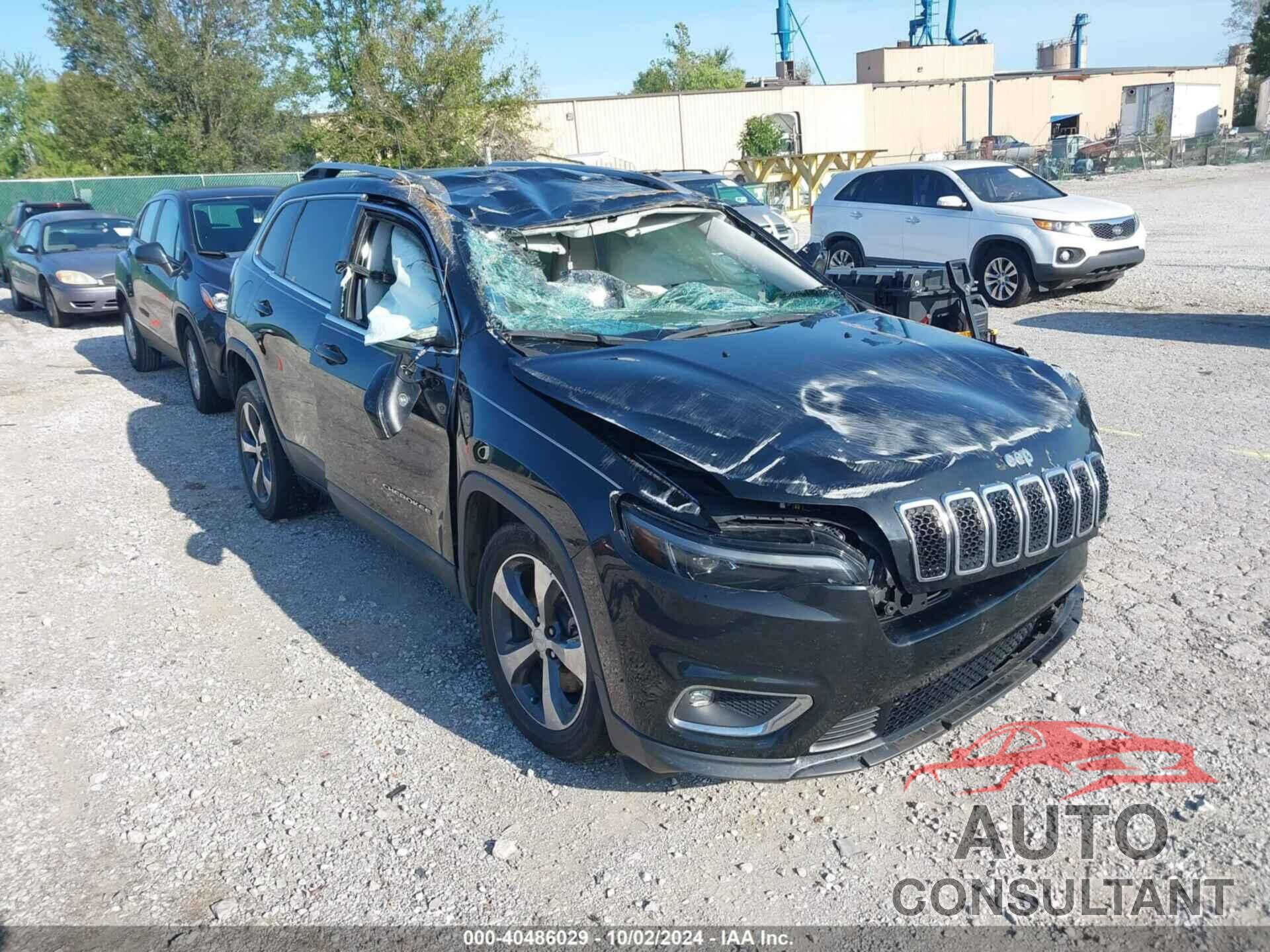 JEEP CHEROKEE 2019 - 1C4PJLDB2KD144203