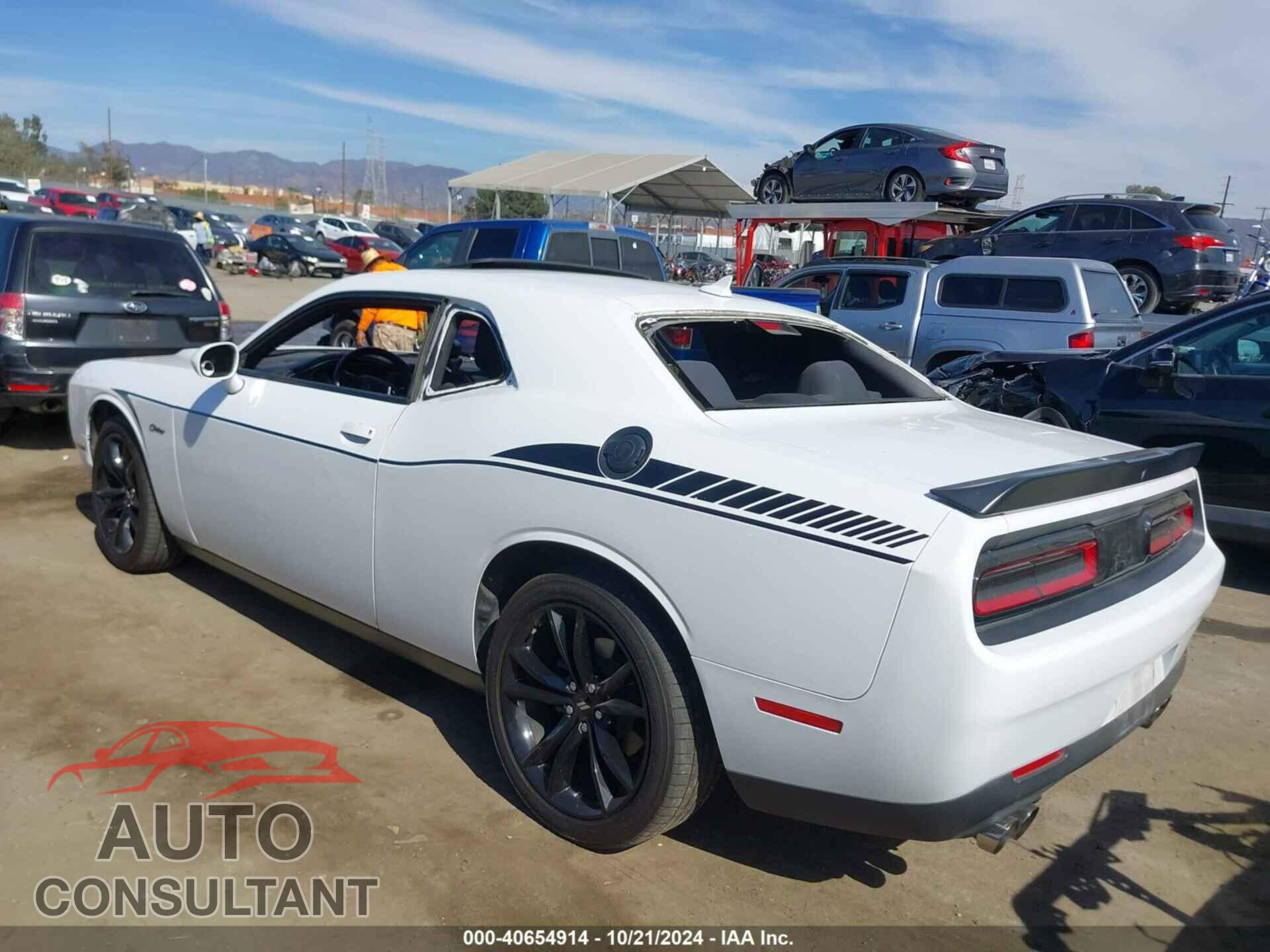 DODGE CHALLENGER 2018 - 2C3CDZAG1JH111028