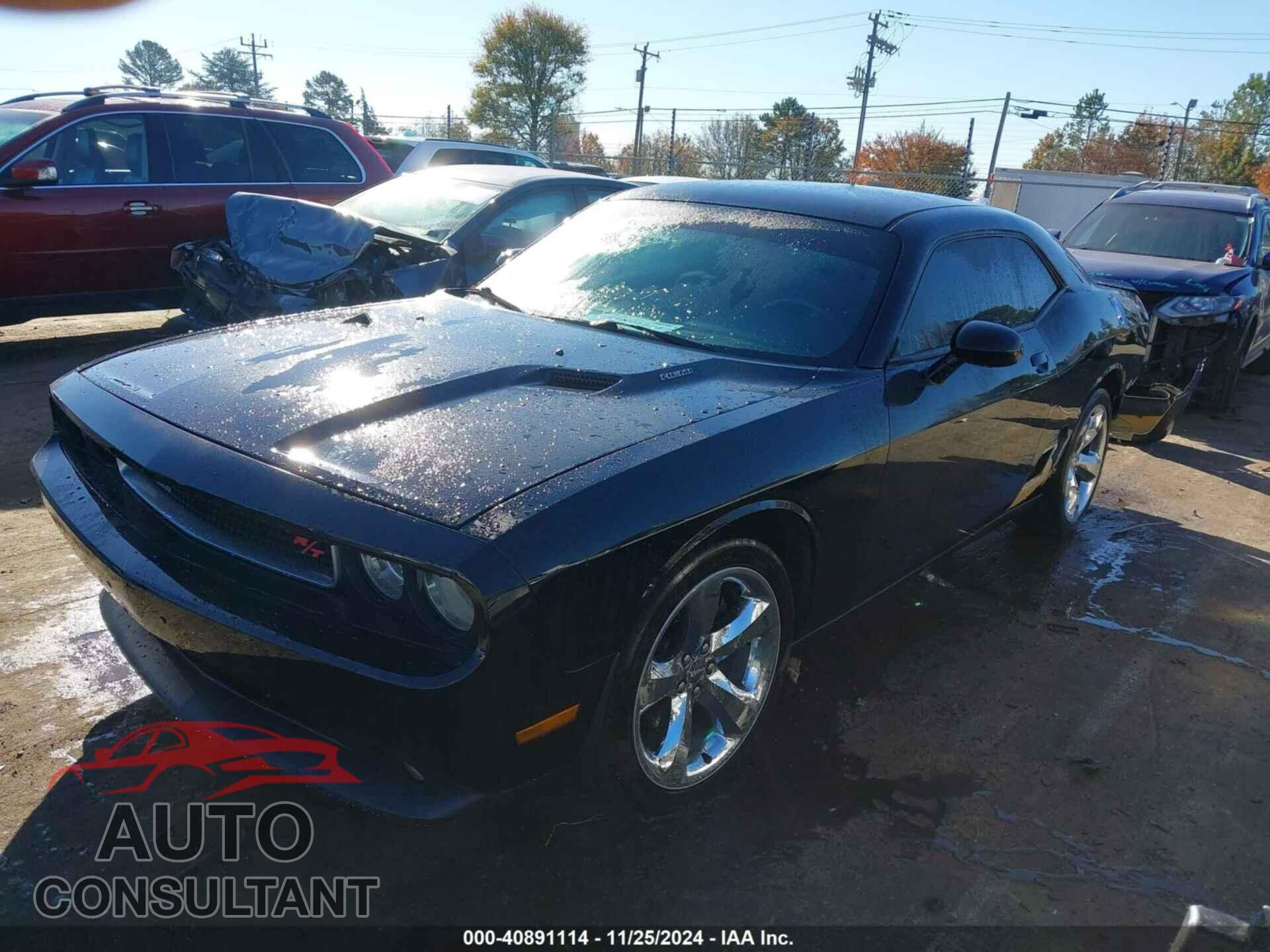 DODGE CHALLENGER 2013 - 2C3CDYBT2DH740436