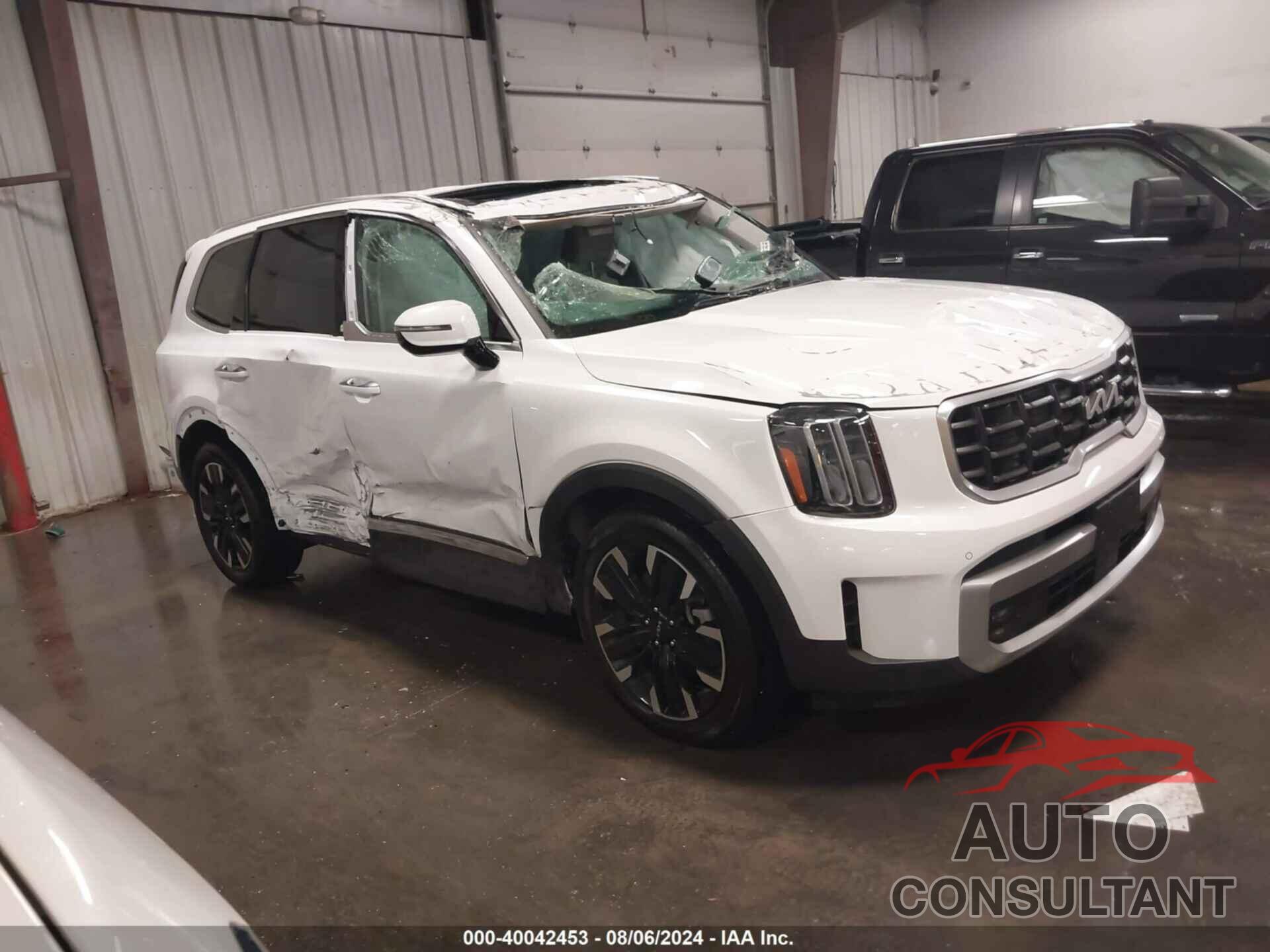 KIA TELLURIDE 2024 - 5XYP5DGC4RG412064