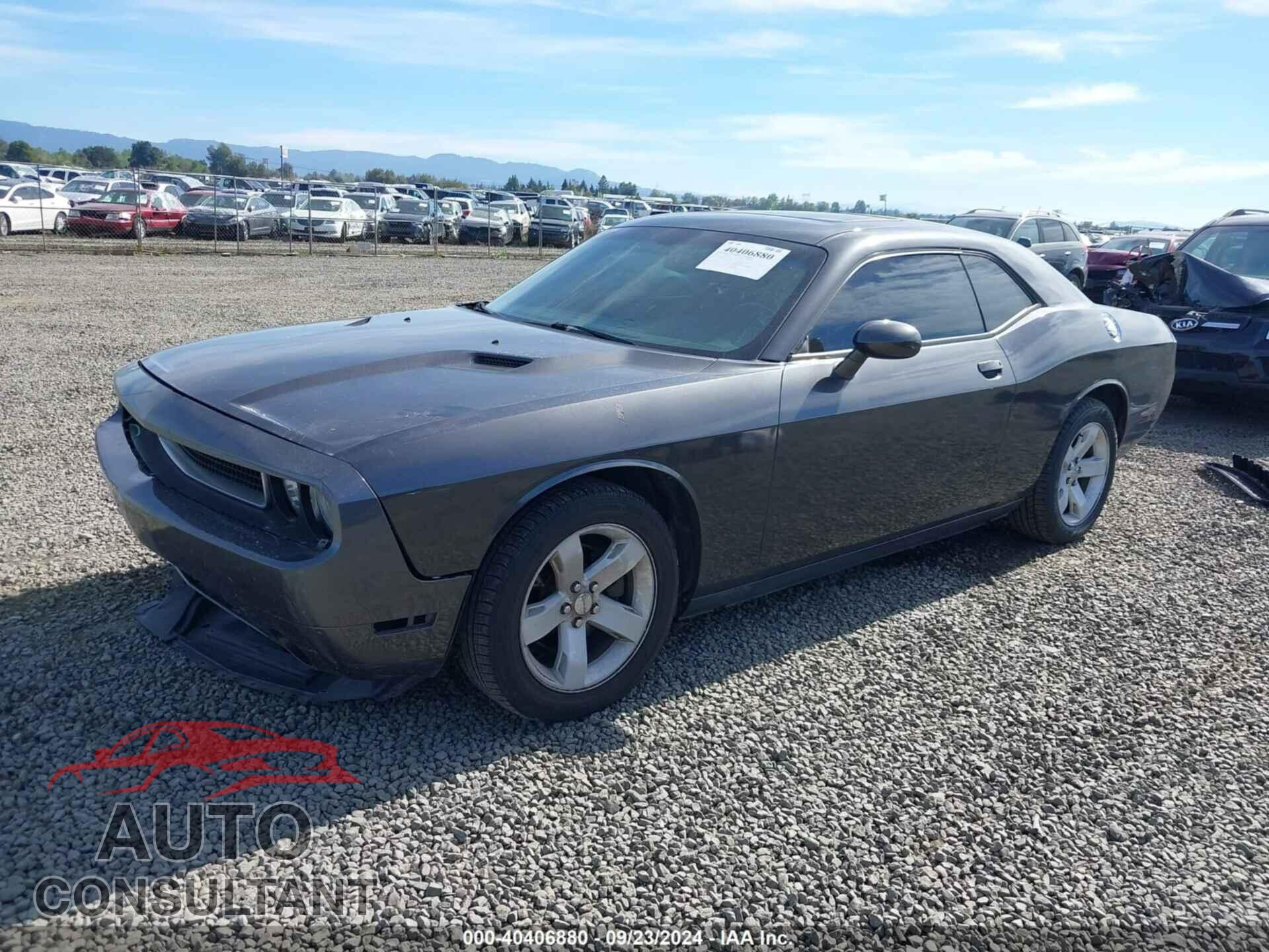 DODGE CHALLENGER 2013 - 2C3CDYAG2DH695308