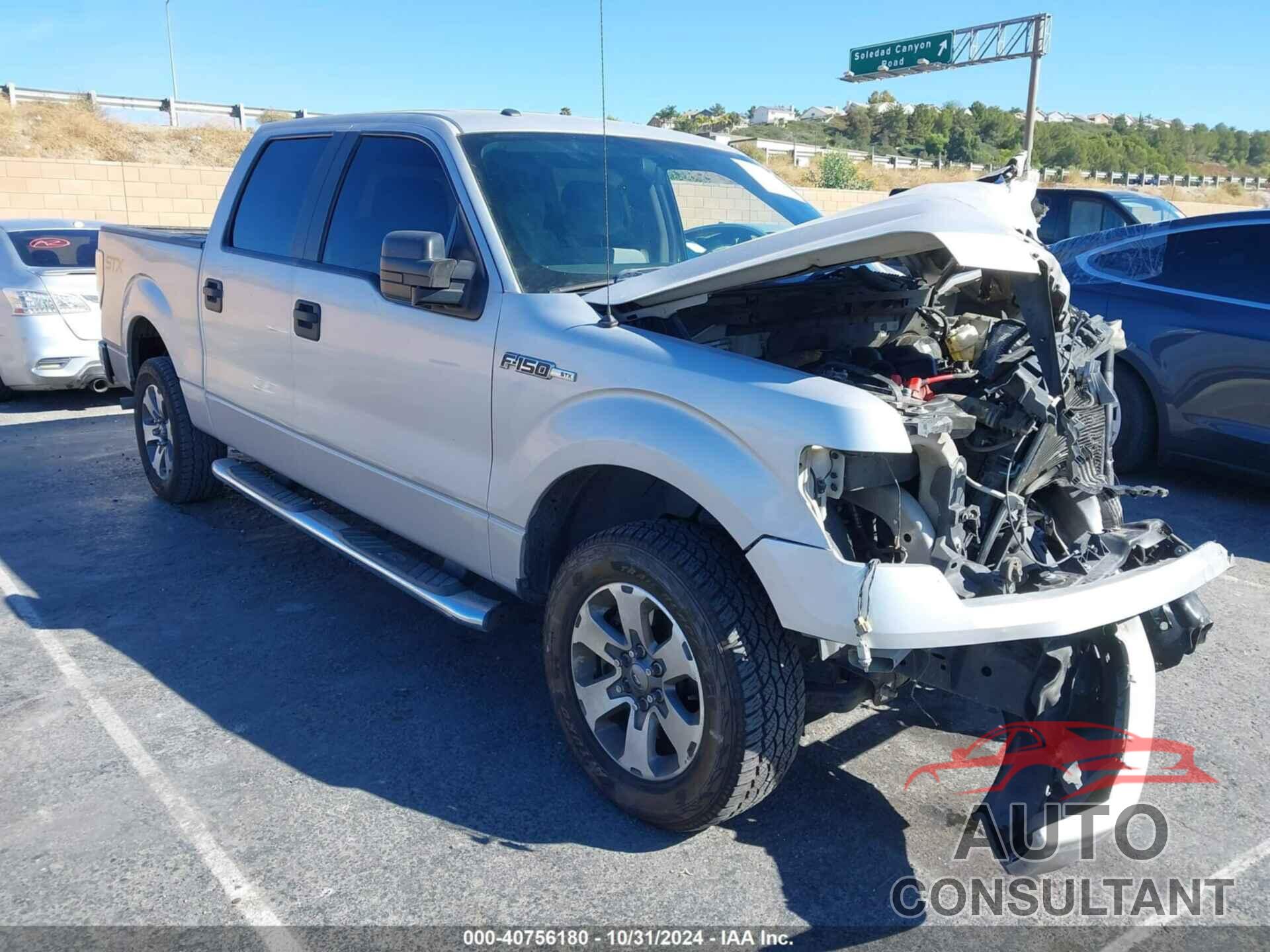 FORD F-150 2014 - 1FTEW1CMXEKF26799