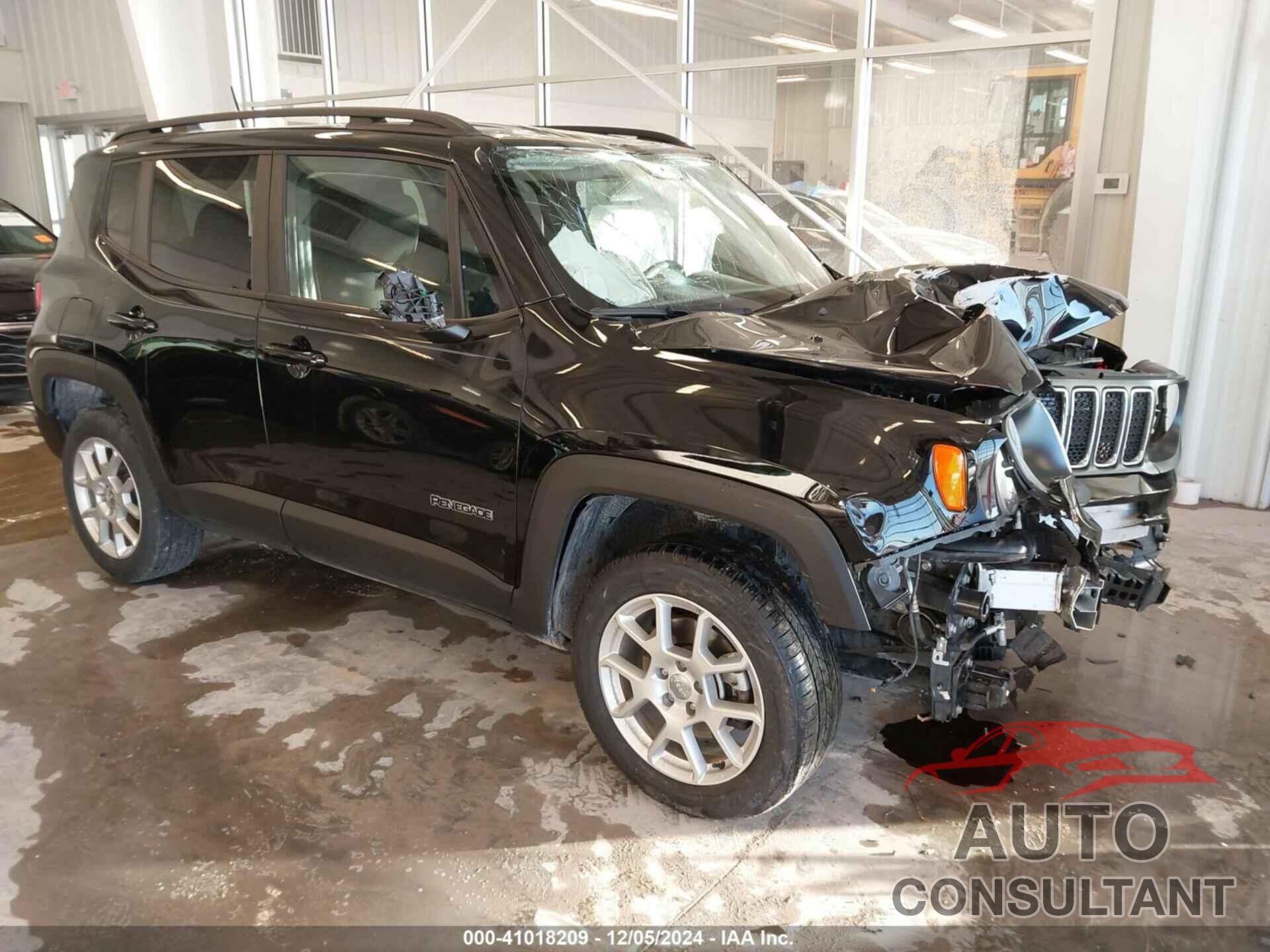 JEEP RENEGADE 2019 - ZACNJBAB9KPJ95900