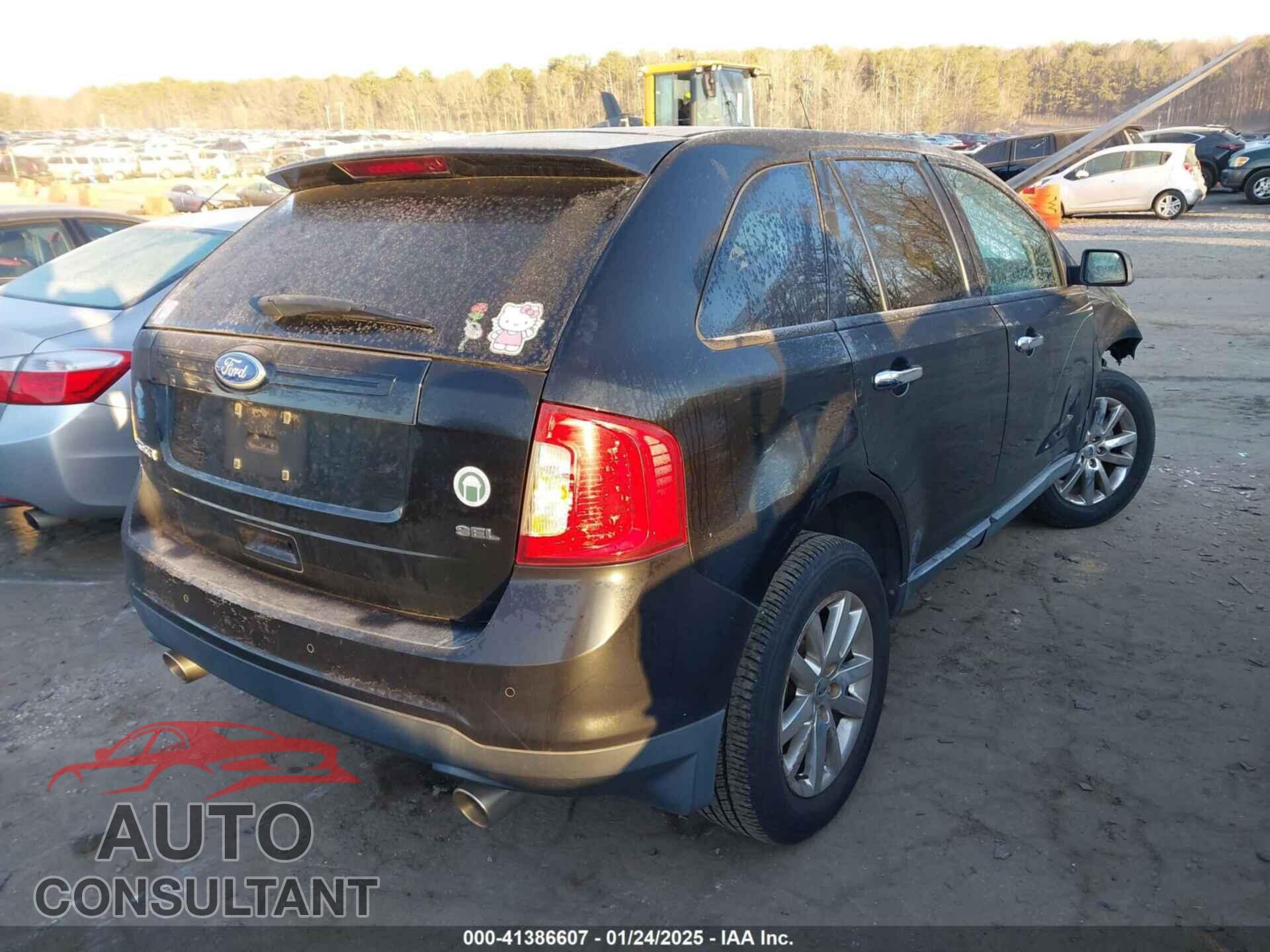 FORD EDGE 2011 - 2FMDK3JC8BBB05503
