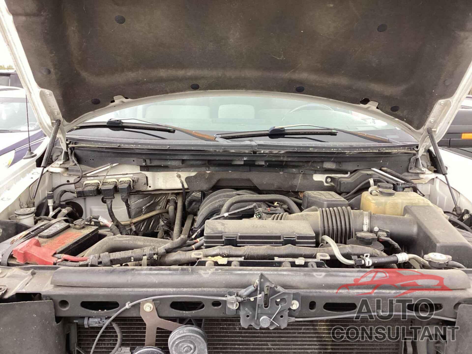 FORD F150 2010 - 1FTEW1E88AFD15703