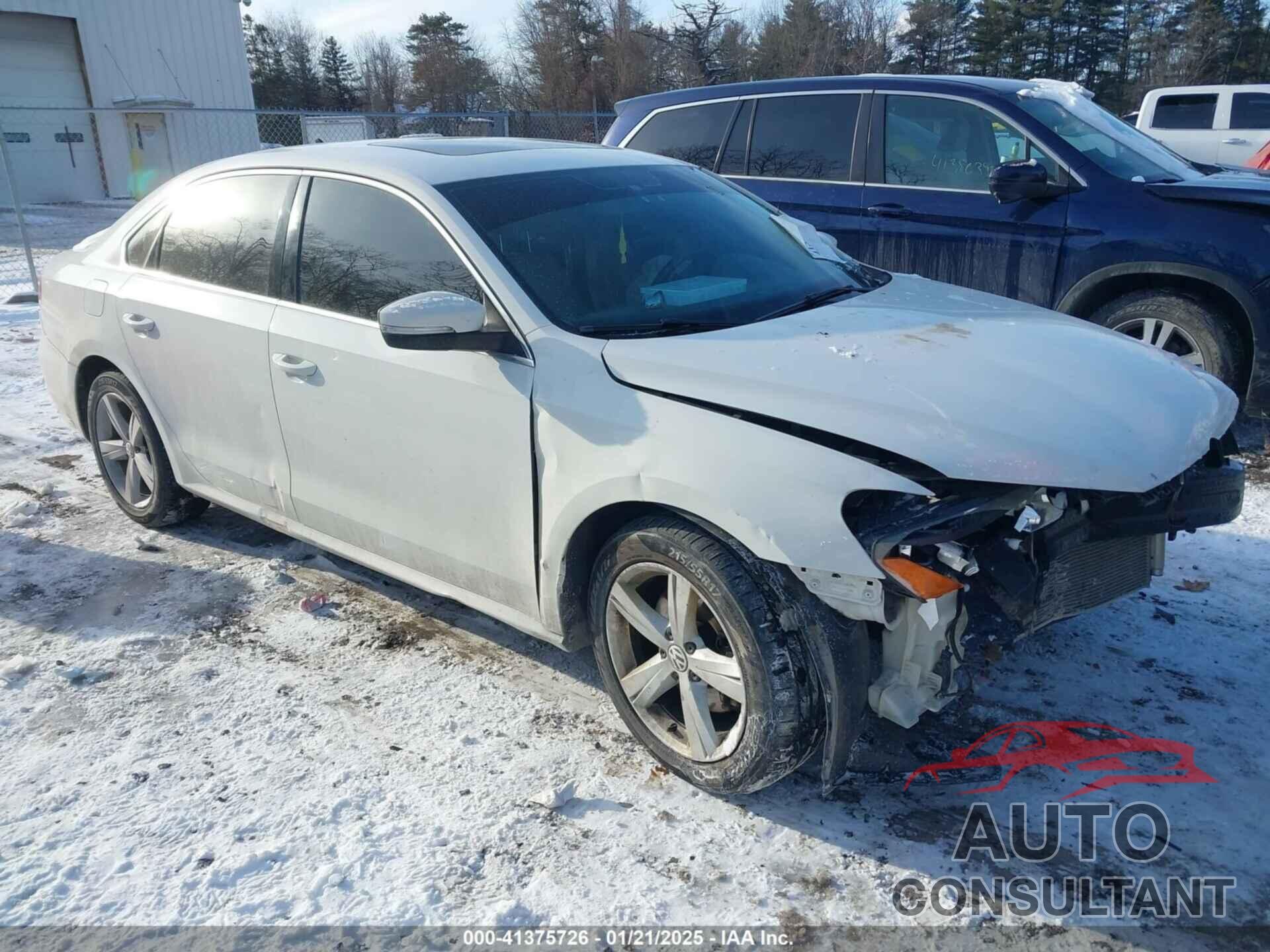 VOLKSWAGEN PASSAT 2013 - 1VWBN7A3XDC124614