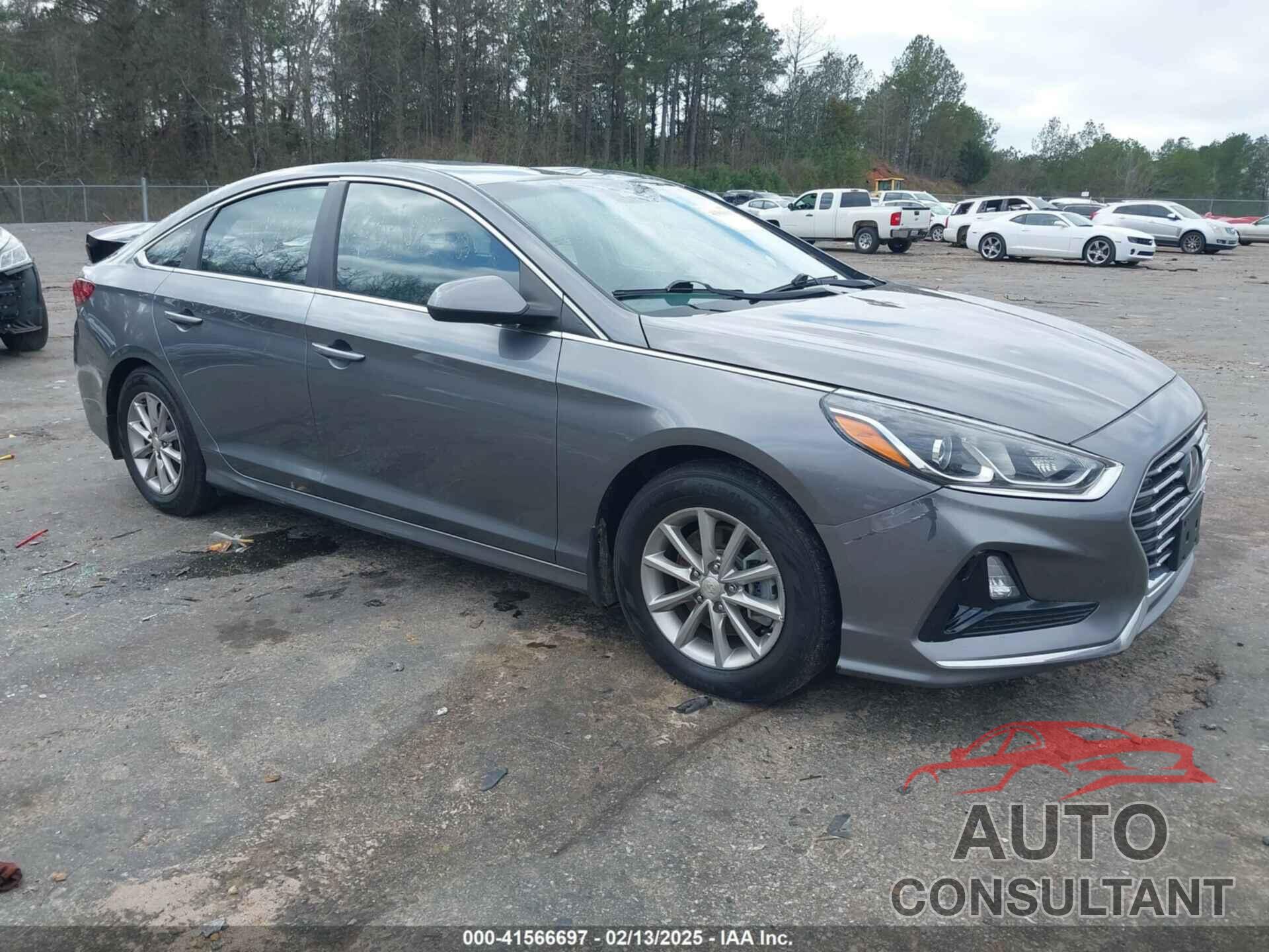 HYUNDAI SONATA 2019 - 5NPE24AF5KH736979