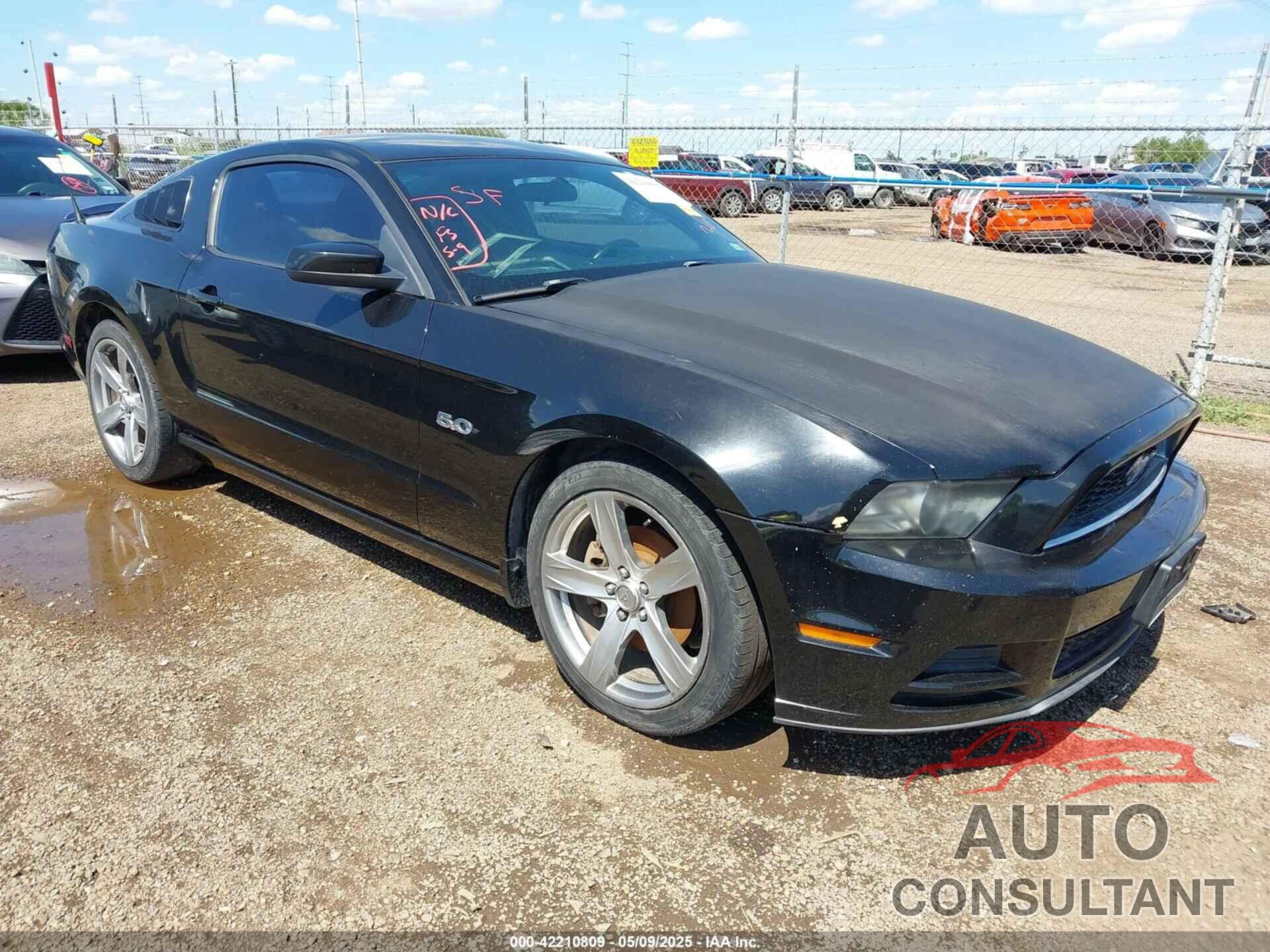 FORD MUSTANG 2013 - 1ZVBP8AM3D5244879