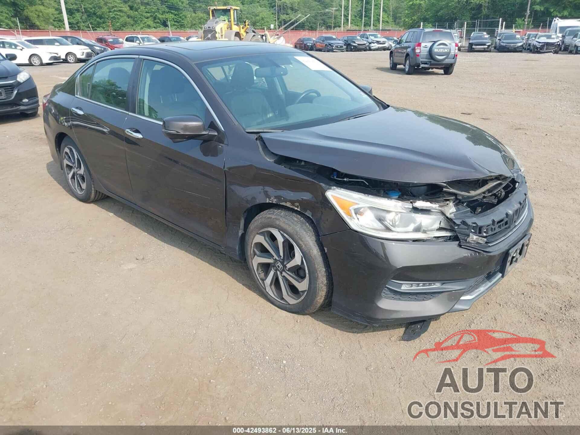 HONDA ACCORD 2016 - 1HGCR2F81GA046874