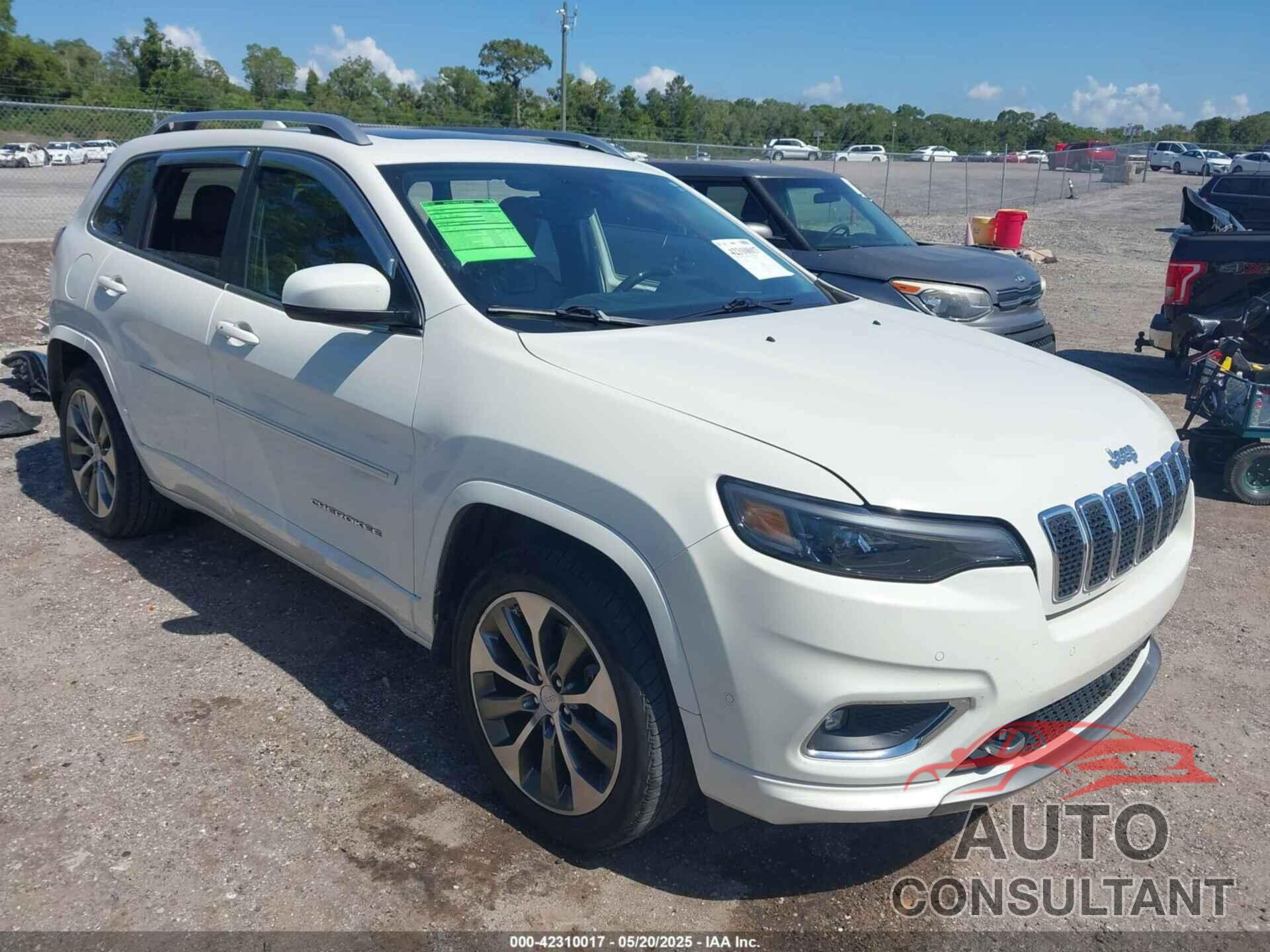JEEP CHEROKEE 2019 - 1C4PJLJN0KD393047