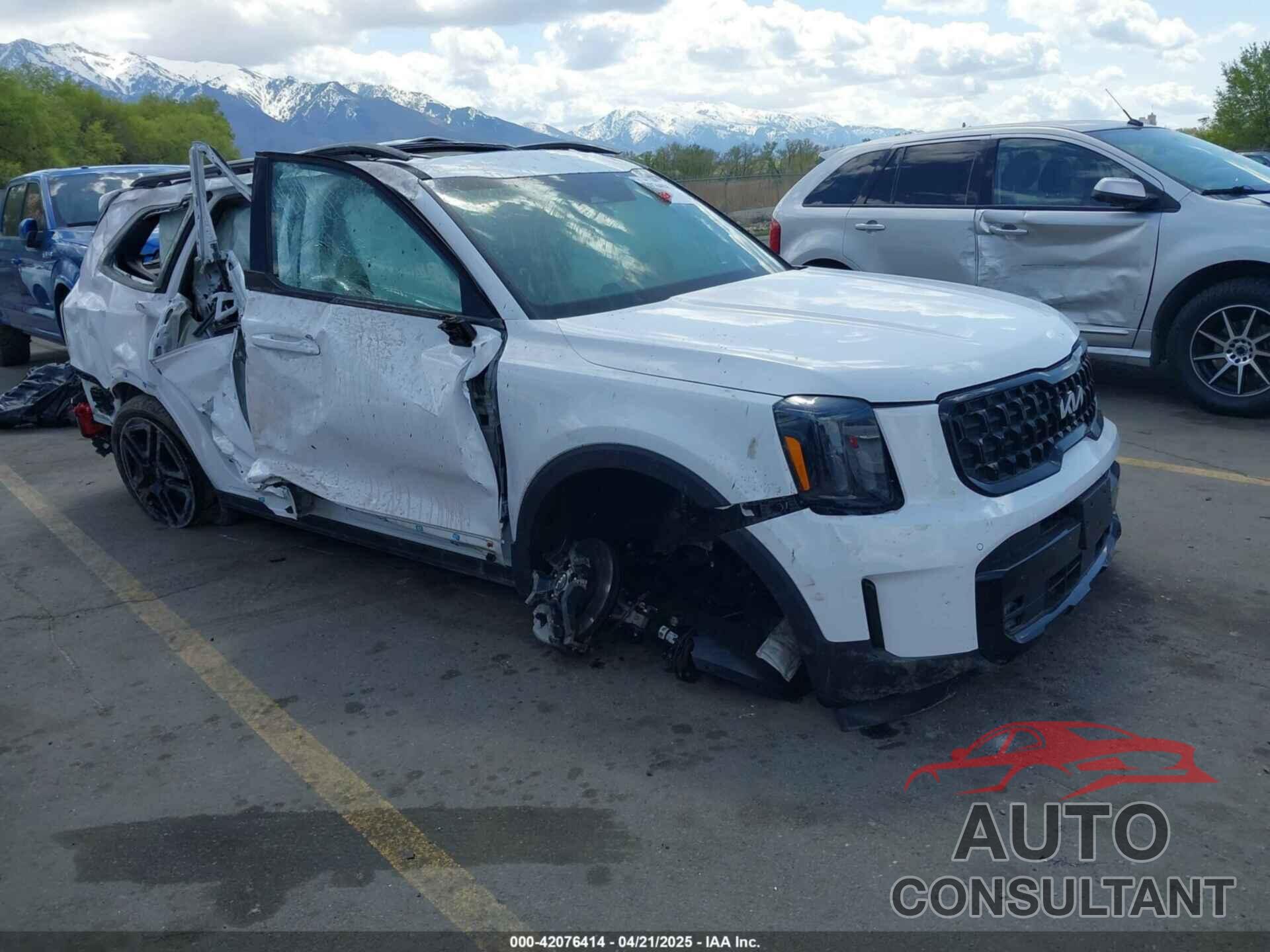 KIA TELLURIDE 2024 - 5XYP5DGC8RG557348