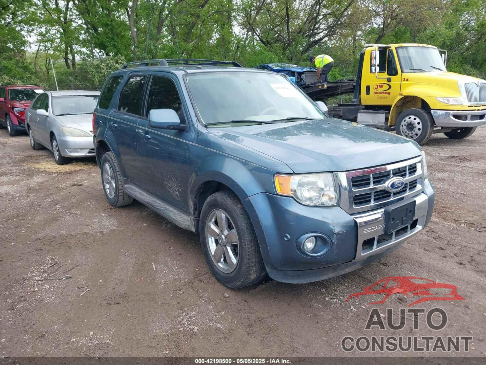 FORD ESCAPE 2011 - 1FMCU9EG6BKA03659