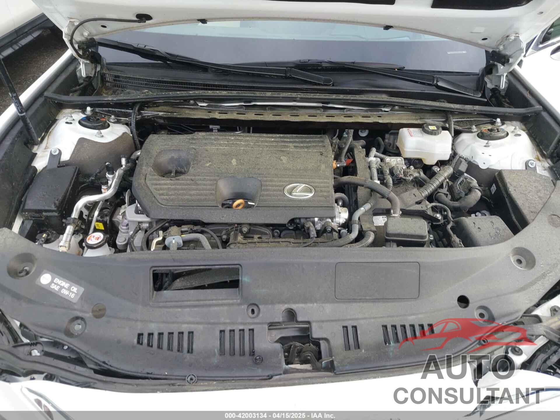 LEXUS ES 300H 2024 - 58AFA1C11RU045086