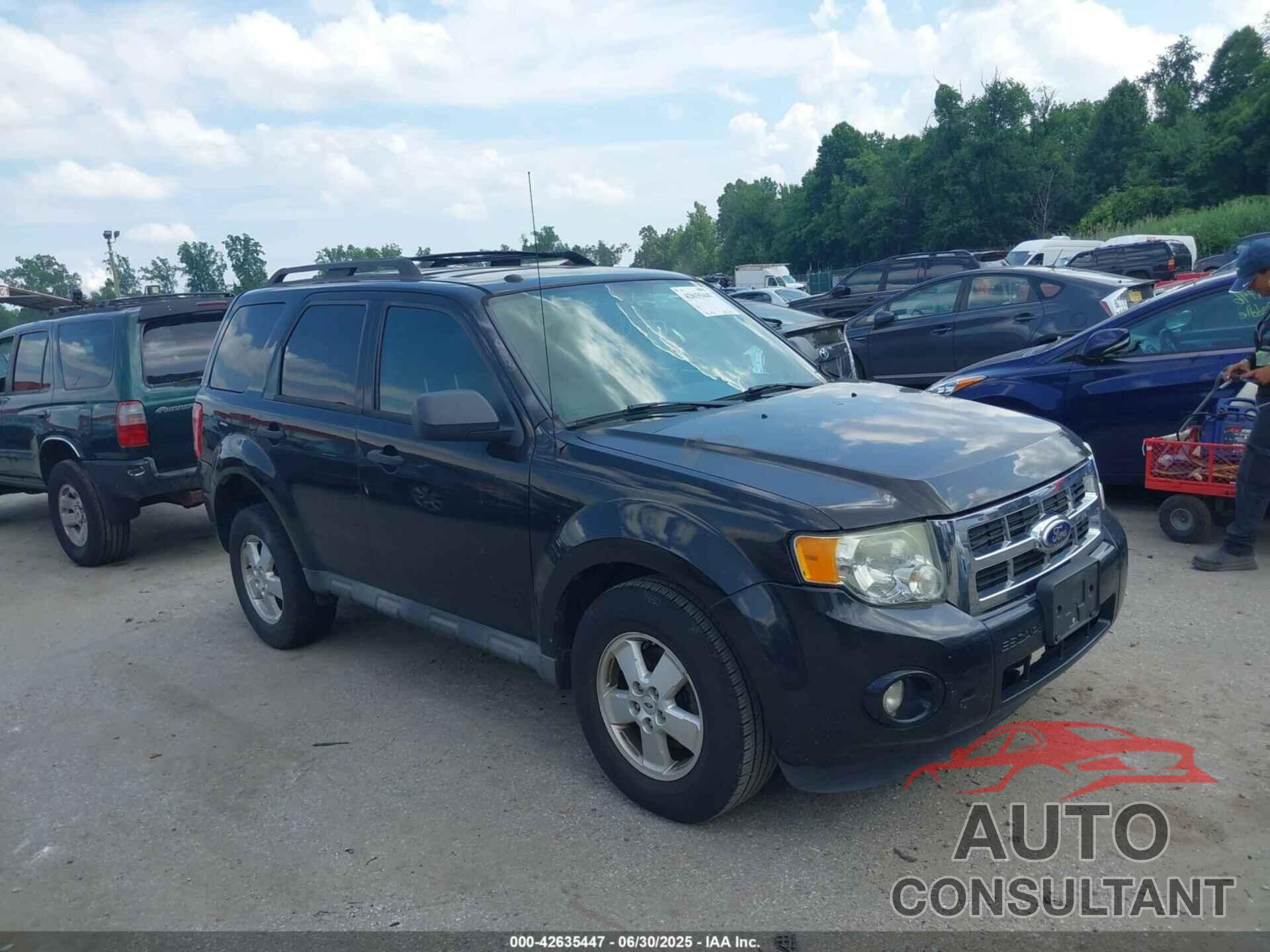 FORD ESCAPE 2011 - 1FMCU9D71BKA12061