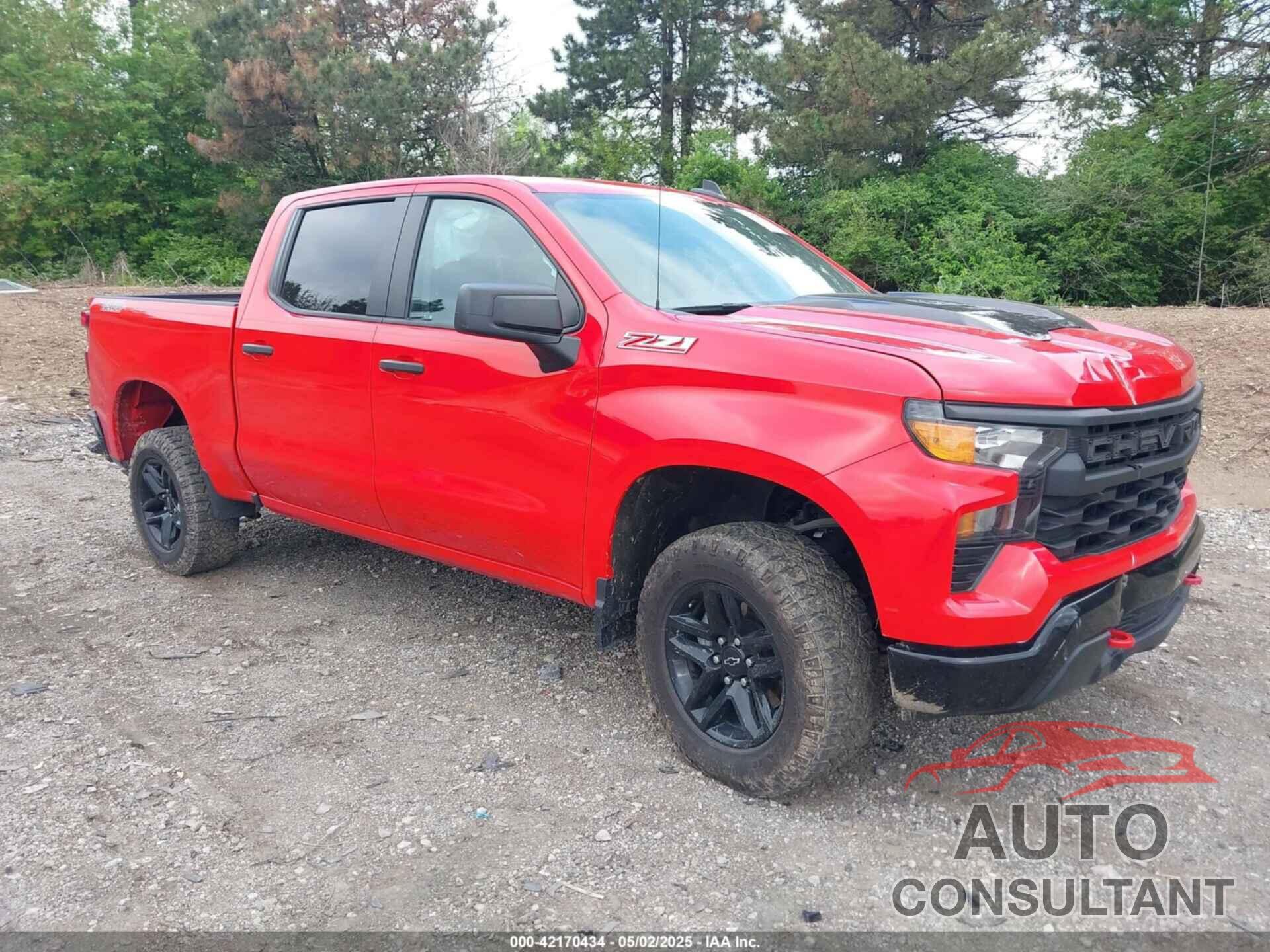 CHEVROLET SILVERADO 1500 2023 - 3GCPDCEK3PG202089