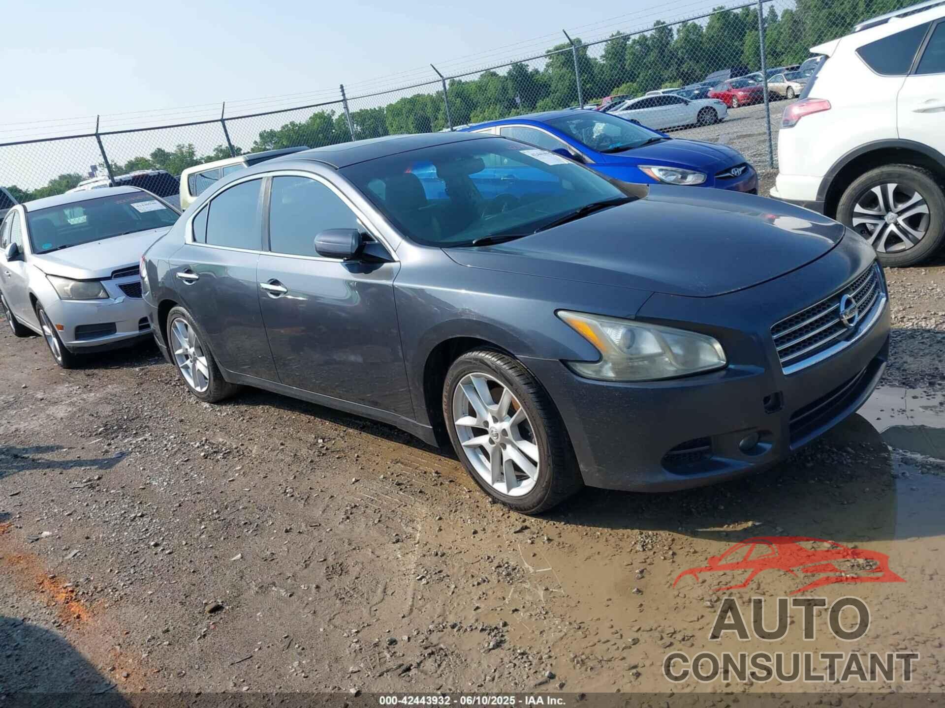 NISSAN MAXIMA 2009 - 1N4AA51E19C860967