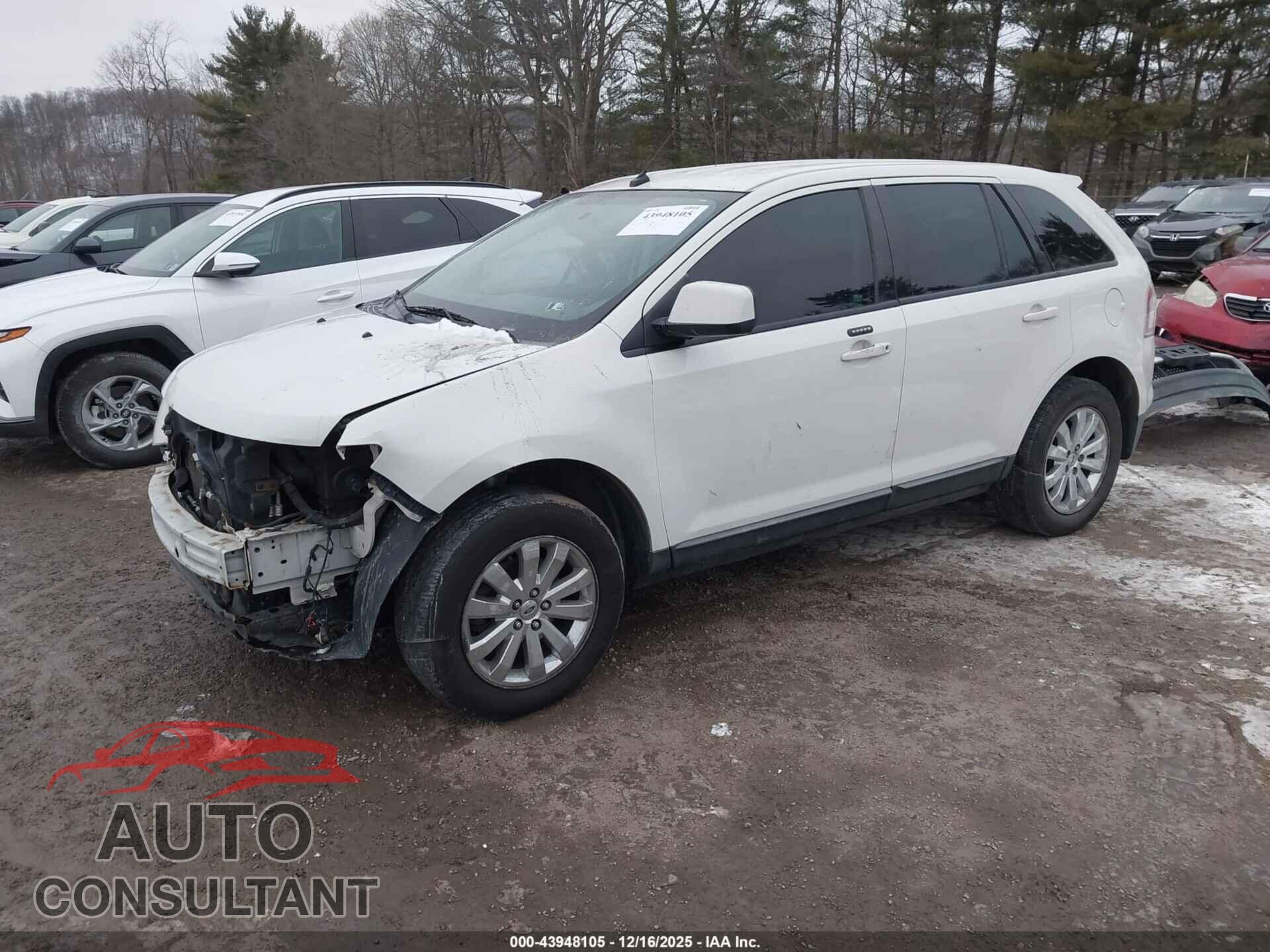 FORD EDGE 2009 - 2FMDK48C39BA60928