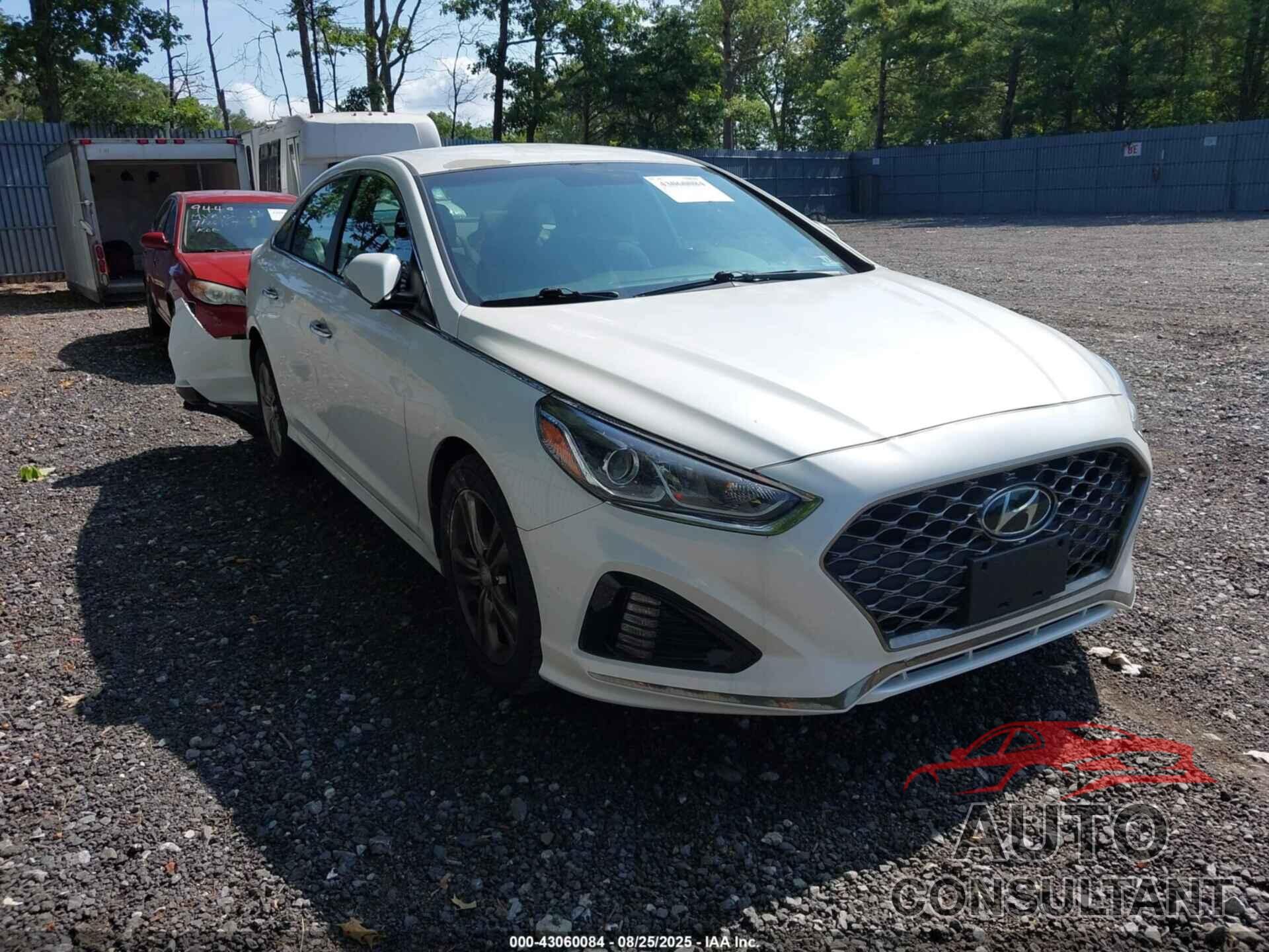 HYUNDAI SONATA 2019 - 5NPE34AF5KH757988