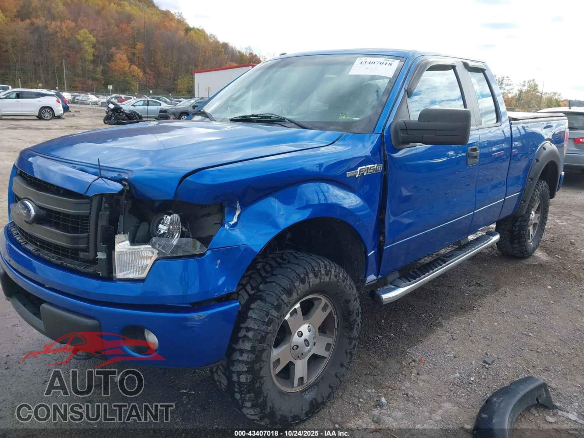 FORD F-150 2013 - 1FTFX1EF2DFD70202