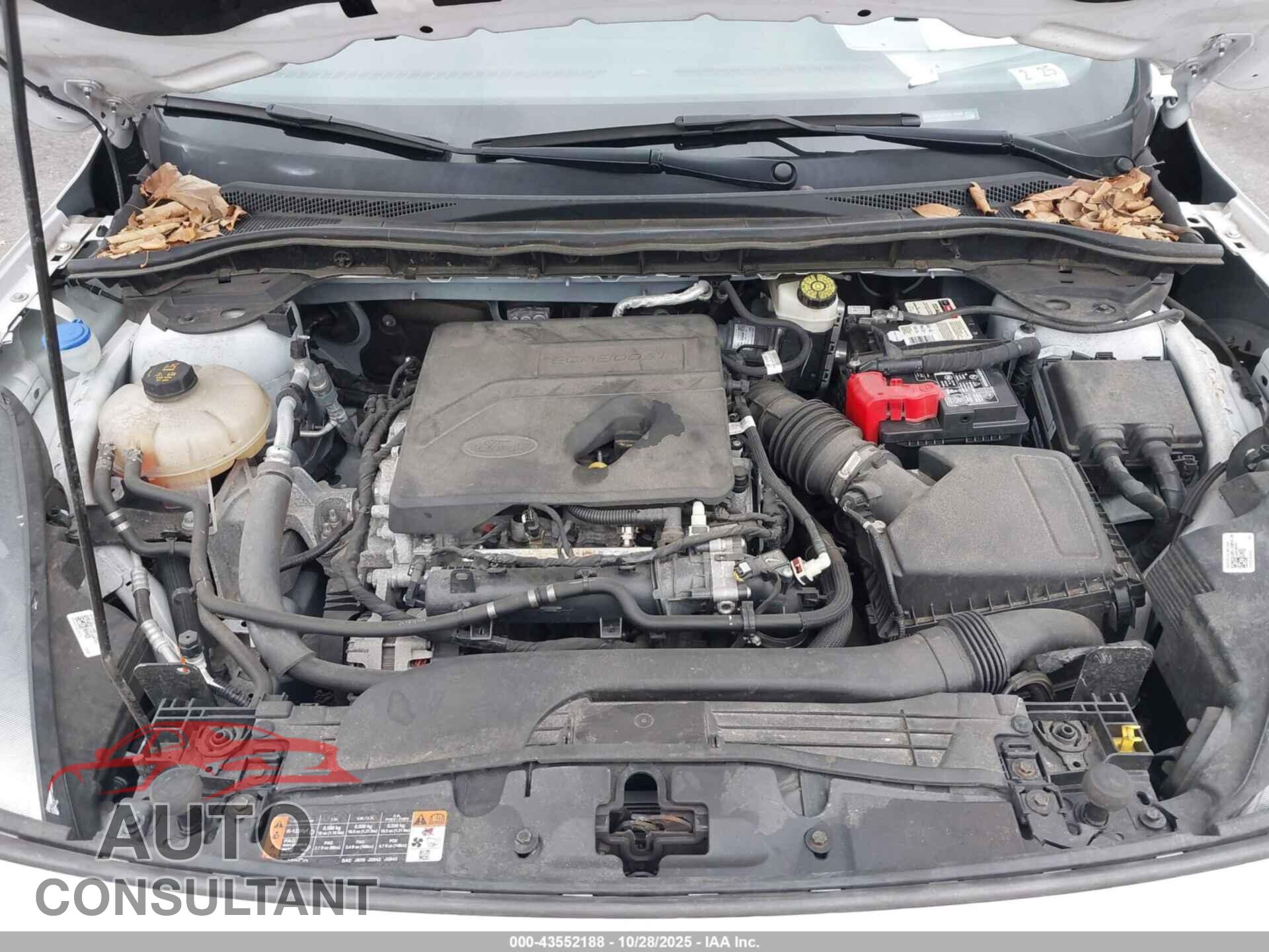 FORD ESCAPE 2020 - 1FMCU9G65LUA19989