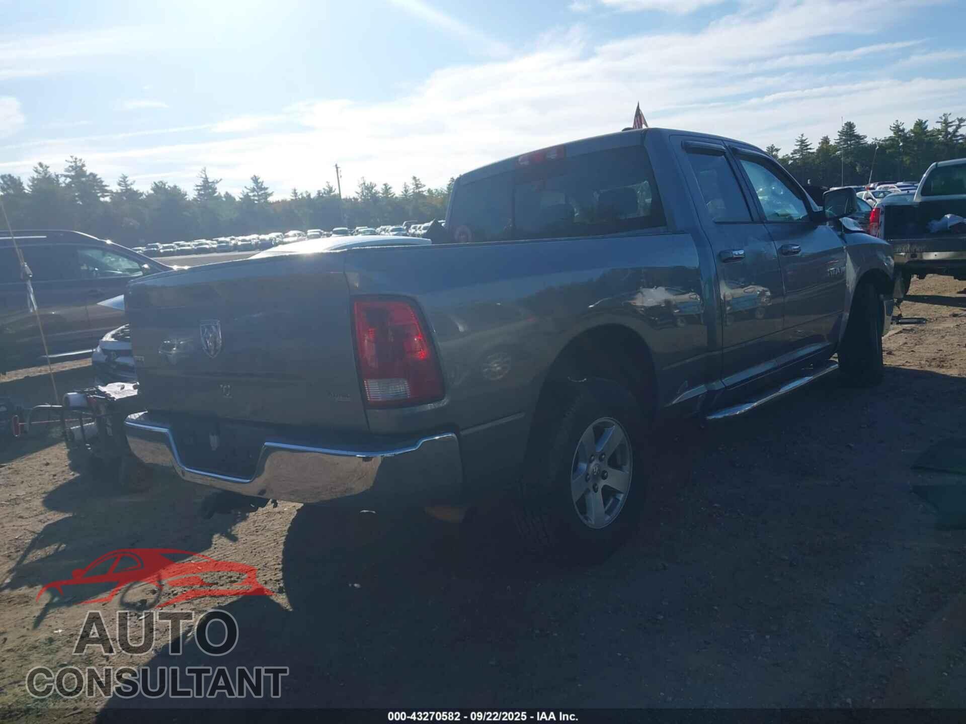 DODGE RAM 1500 2010 - 1D7RB1GP0AS119396