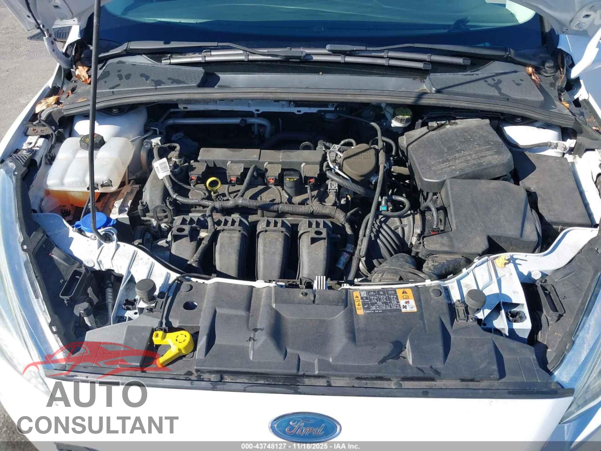FORD FOCUS 2015 - 1FADP3F21FL206982