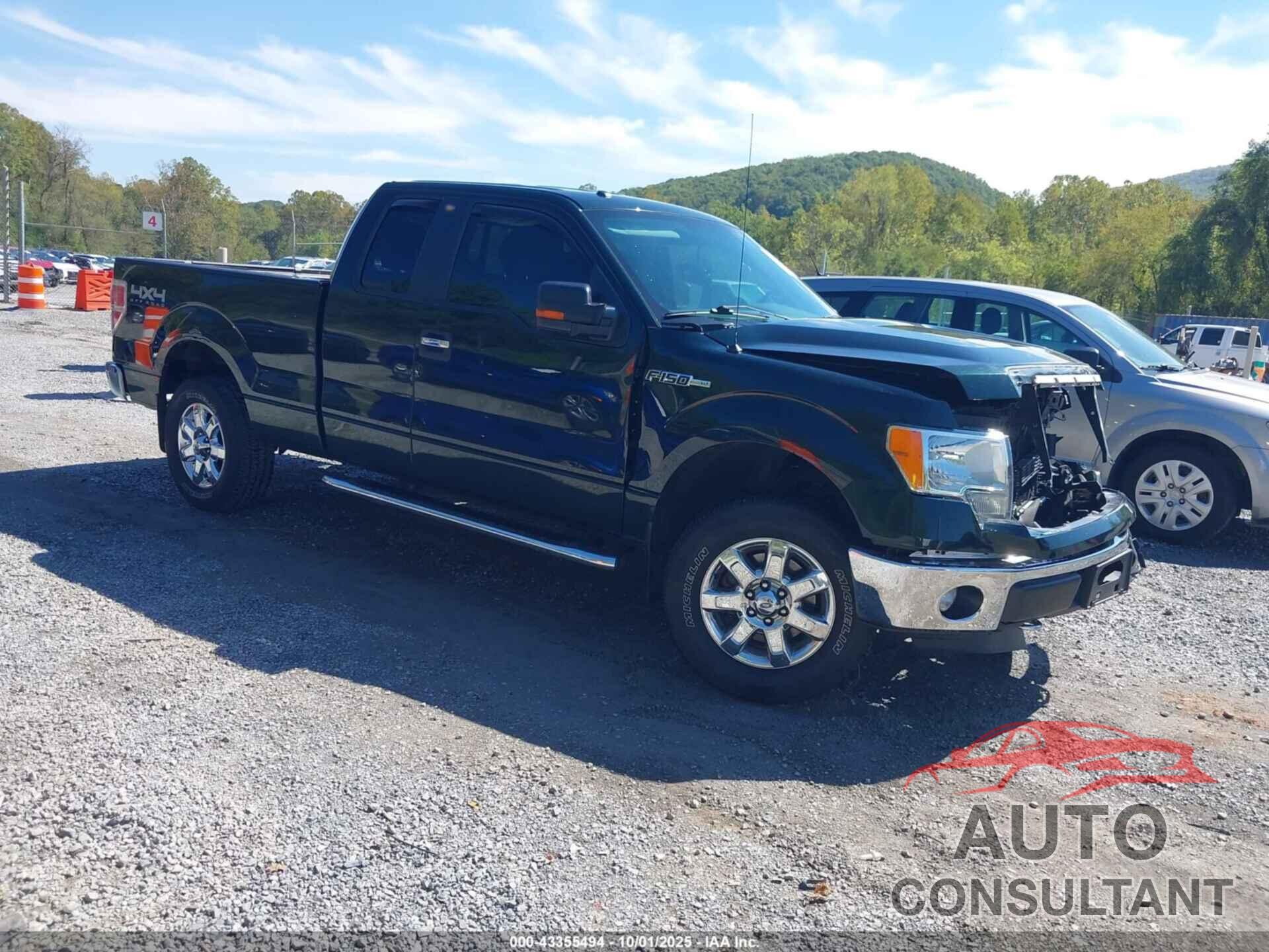 FORD F-150 2013 - 1FTFX1EF3DFD16780
