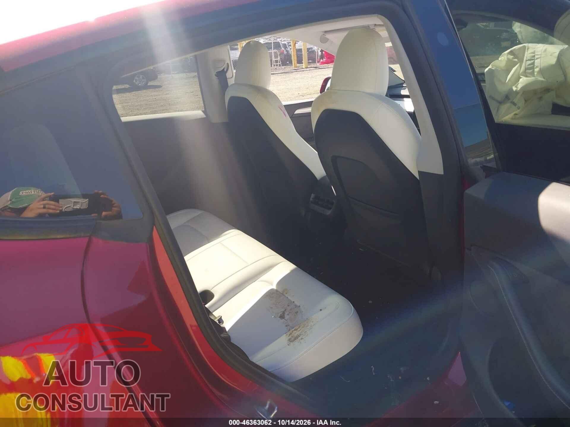 TESLA MODEL Y 2024 - 7SAYGDEEXRA300797