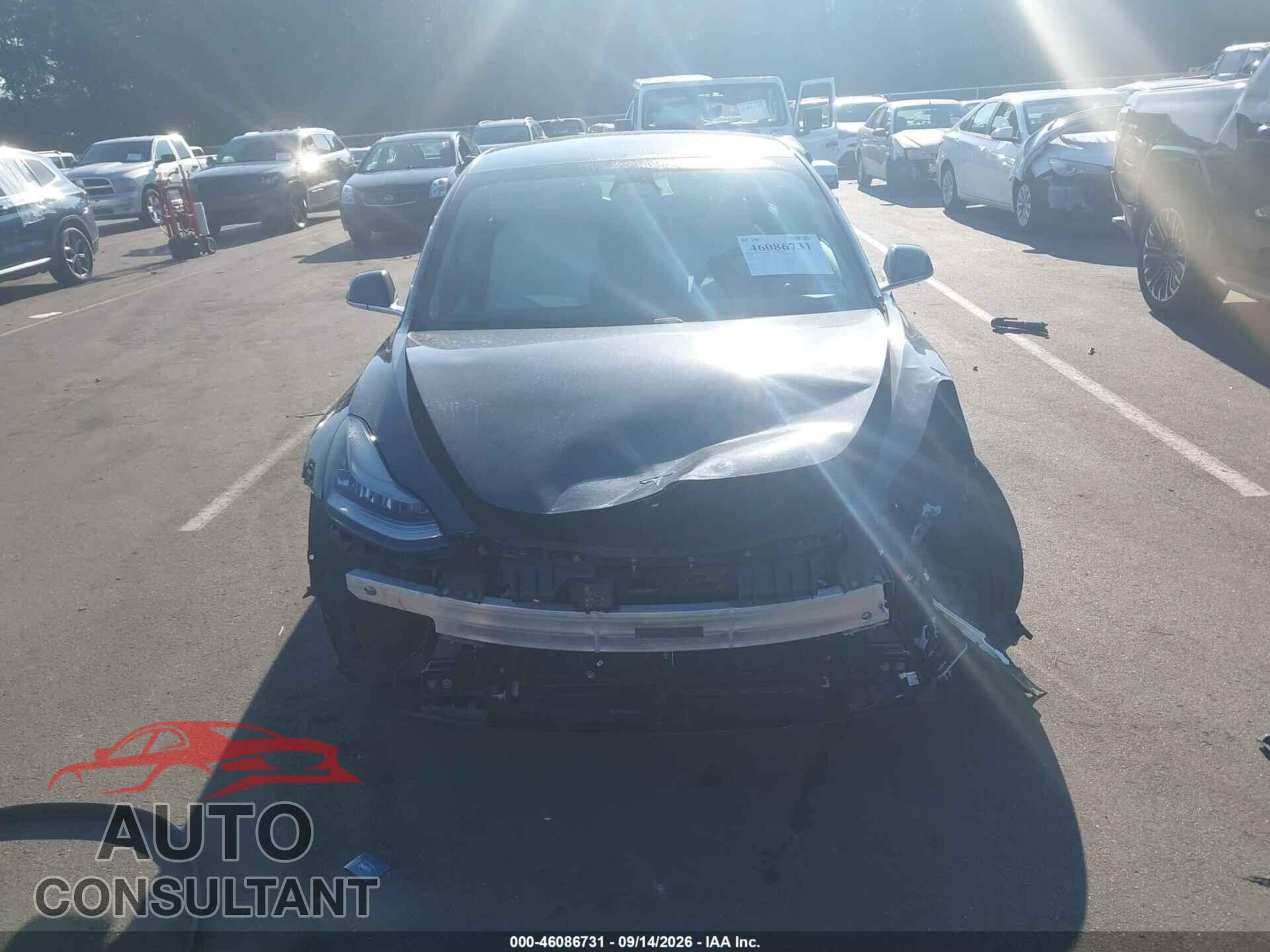 TESLA MODEL 3 2020 - 5YJ3E1EA8LF785802