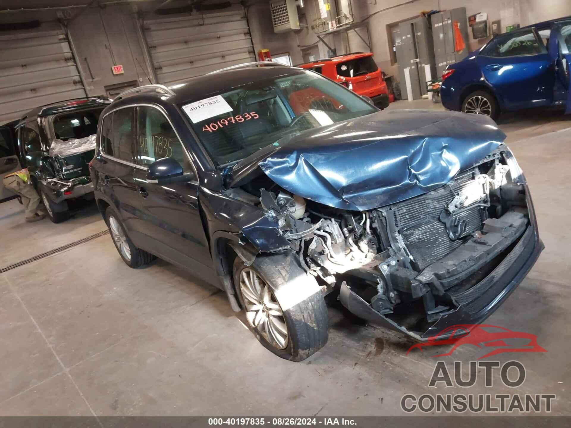 VOLKSWAGEN TIGUAN 2011 - WVGBV7AXXBW533872