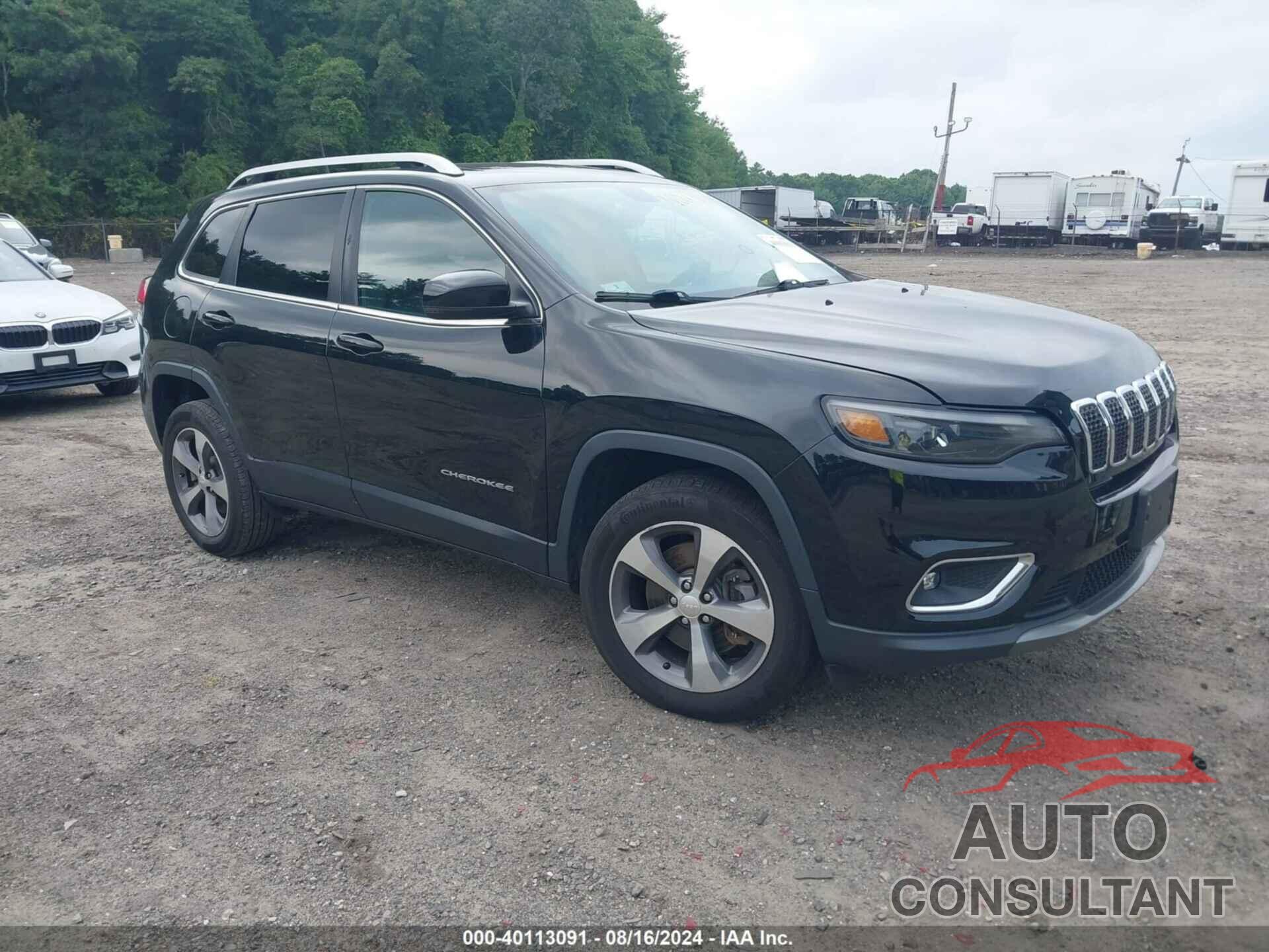 JEEP CHEROKEE 2019 - 1C4PJMDNXKD117721