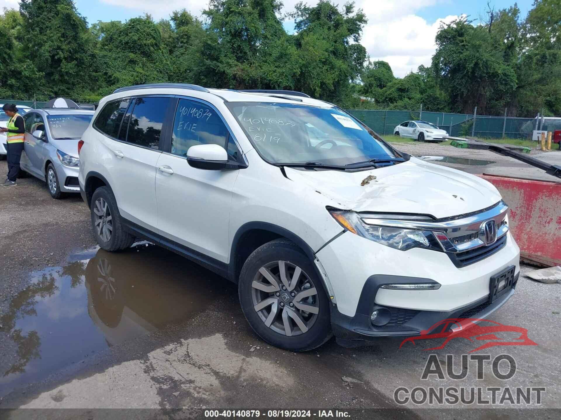 HONDA PILOT 2019 - 5FNYF6H52KB082788