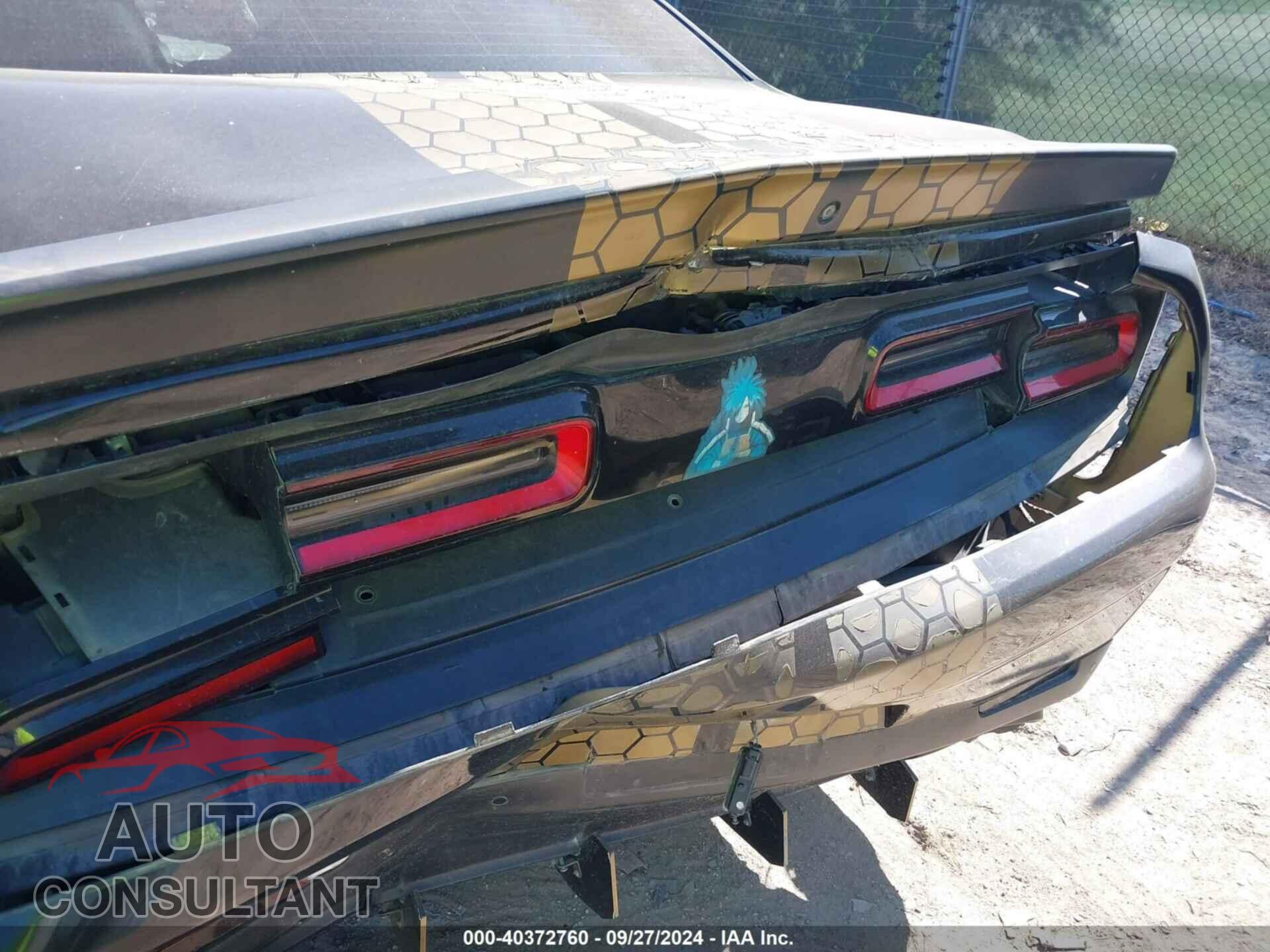 DODGE CHALLENGER 2019 - 2C3CDZFJ3KH741123