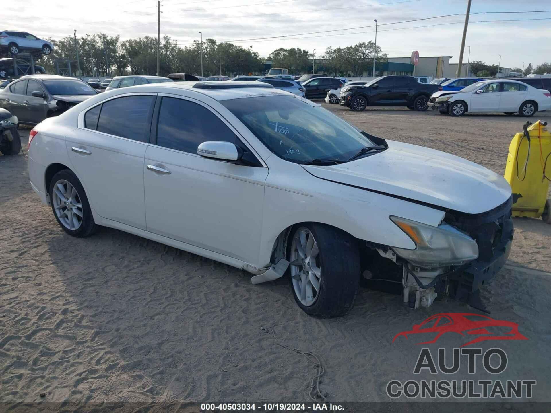 NISSAN MAXIMA 2009 - 1N4AA51E09C851032