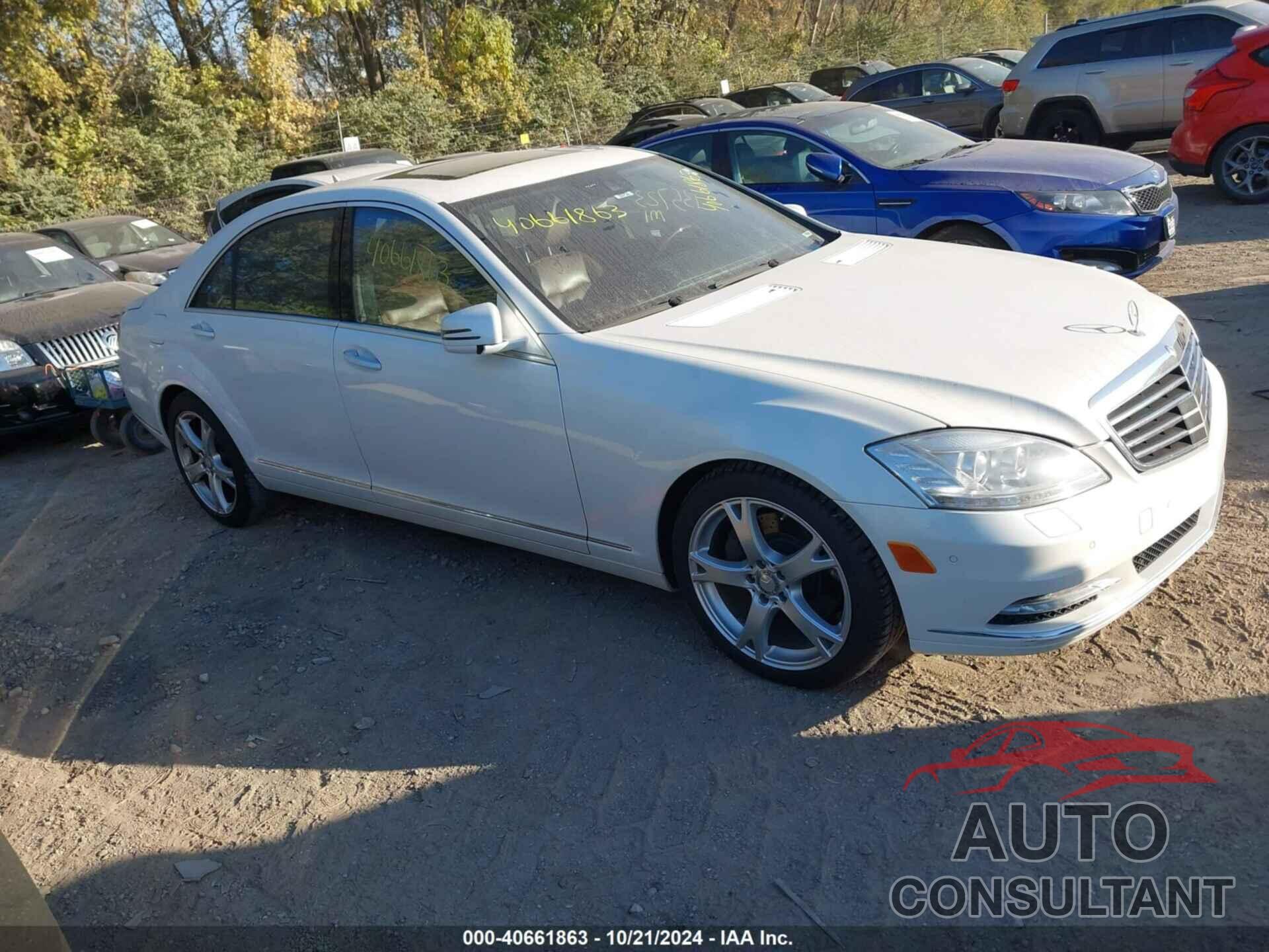 MERCEDES-BENZ S 550 2013 - WDDNG7DB9DA495780