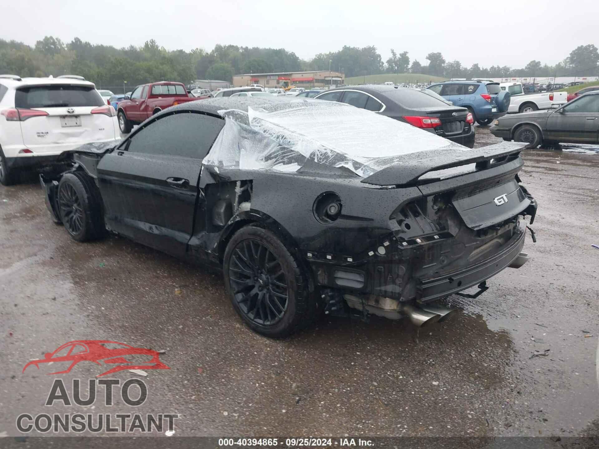 FORD MUSTANG 2019 - 1FA6P8CF4K5102000