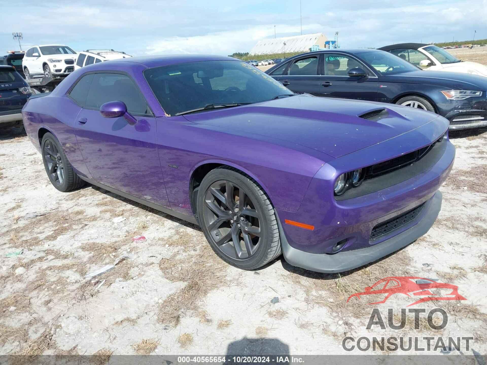 DODGE CHALLENGER 2019 - 2C3CDZBT9KH518463