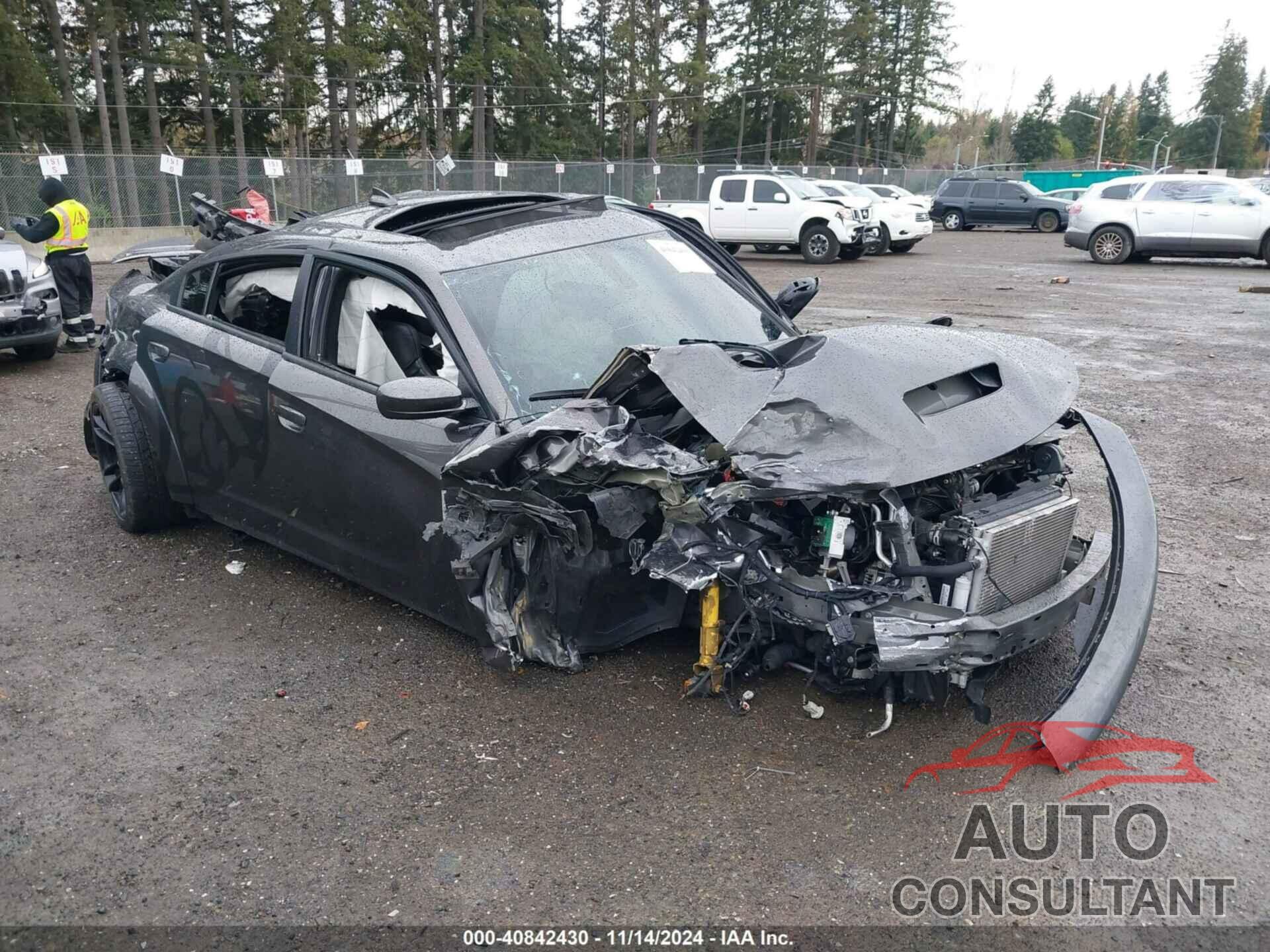 DODGE CHARGER 2021 - 2C3CDXL96MH559031