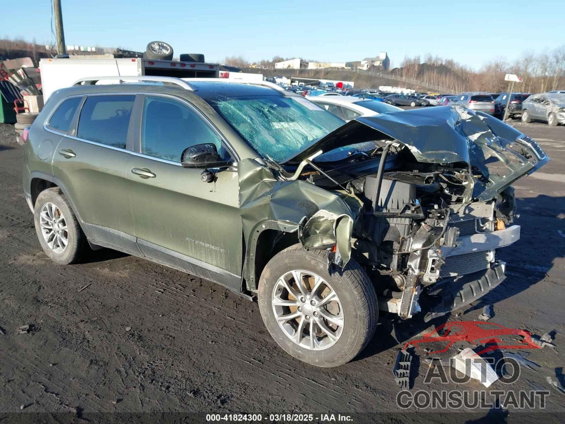 JEEP CHEROKEE 2019 - 1C4PJMLX0KD123482