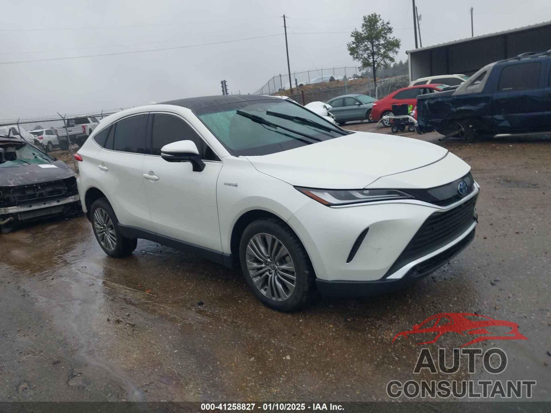 TOYOTA VENZA 2021 - JTEAAAAH3MJ054058