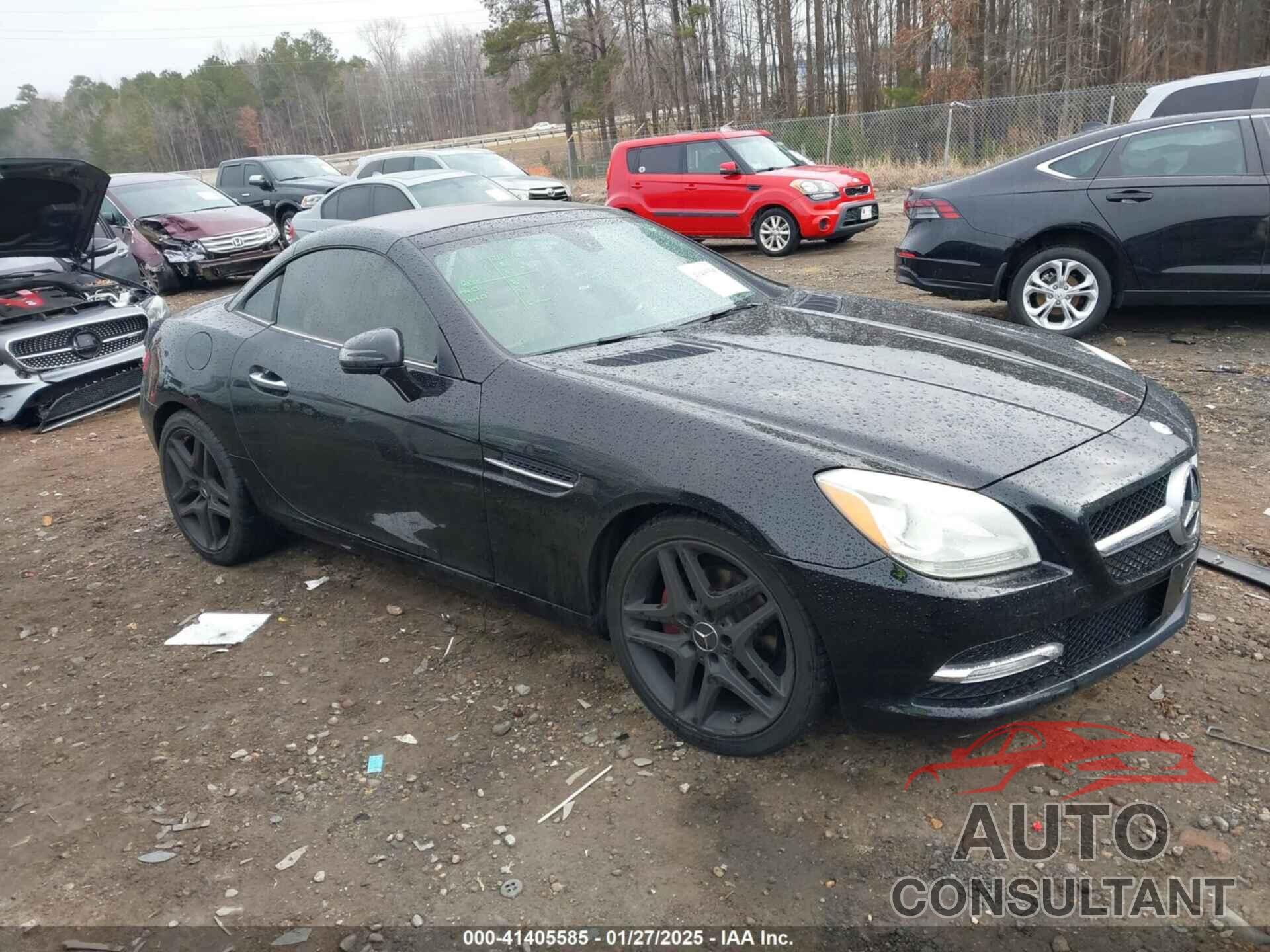 MERCEDES-BENZ SLK 250 2013 - WDDPK4HA5DF057414