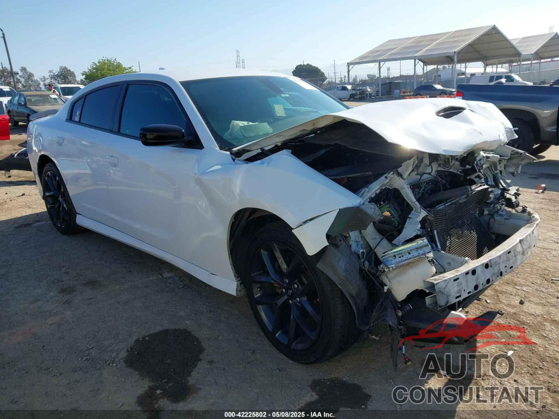DODGE CHARGER 2019 - 2C3CDXHGXKH619512