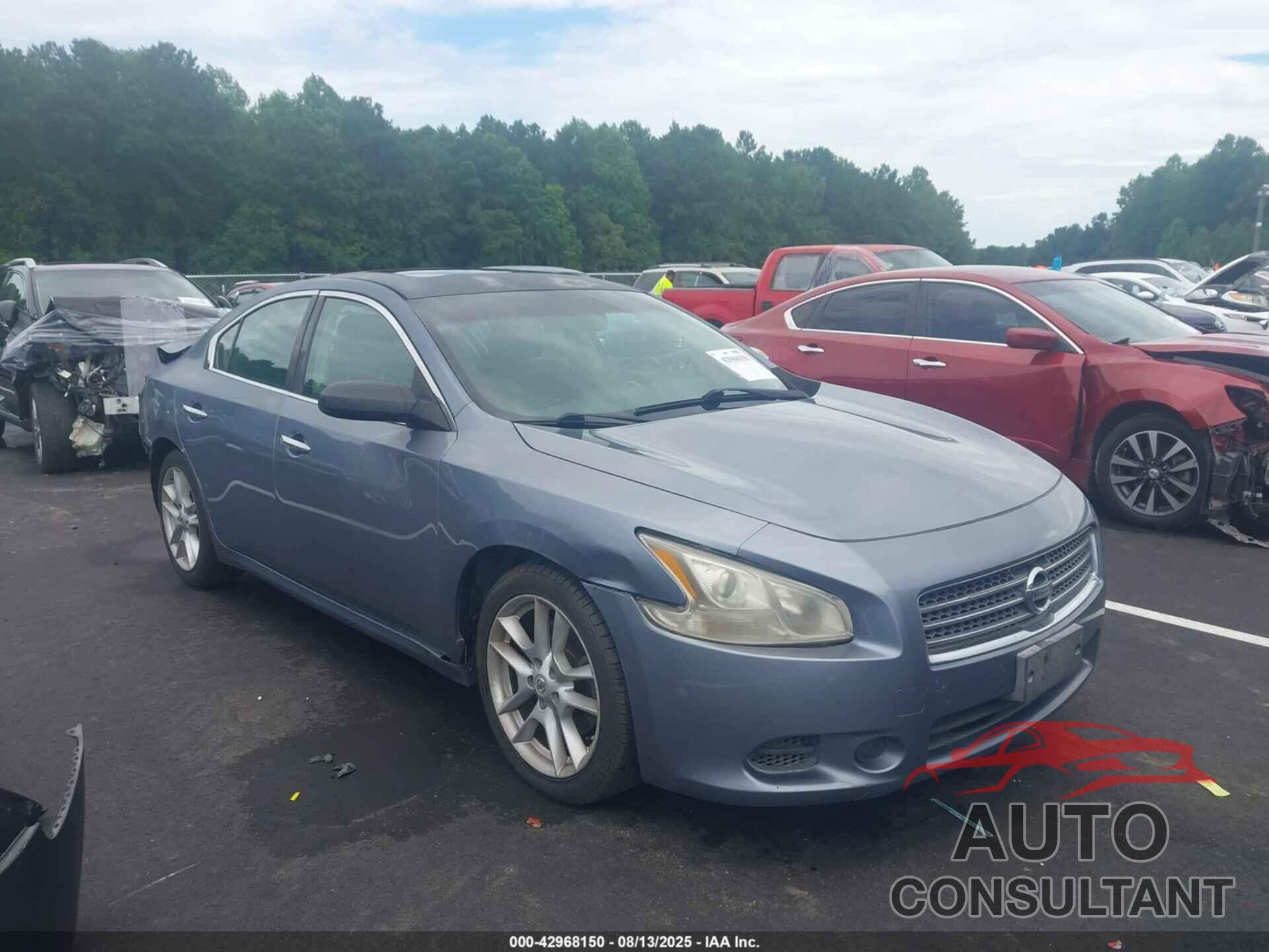 NISSAN MAXIMA 2010 - 1N4AA5AP1AC855211