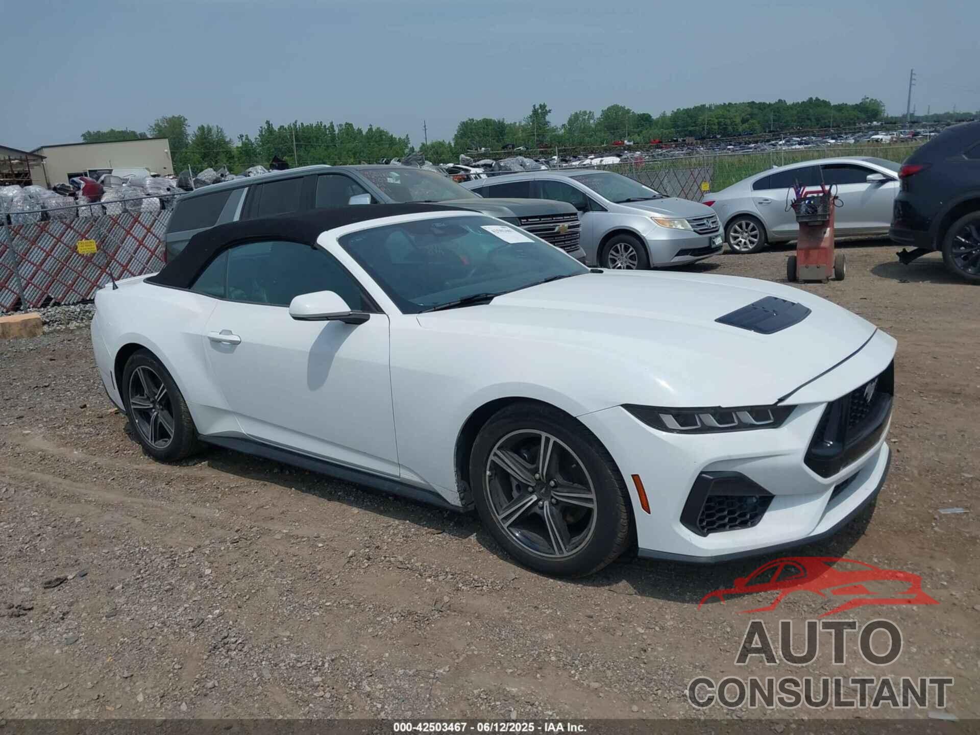 FORD MUSTANG 2024 - 1FAGP8UH1R5124972