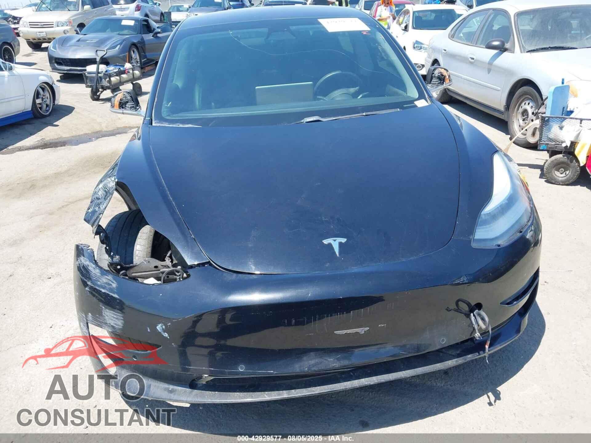 TESLA MODEL 3 2019 - 5YJ3E1EA7KF192978