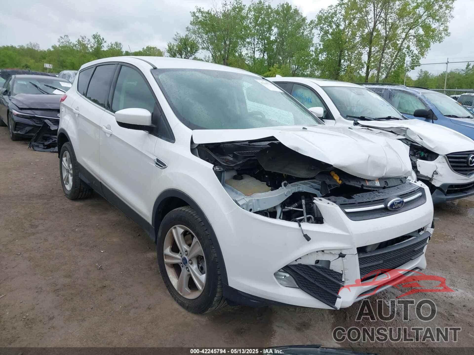 FORD ESCAPE 2014 - 1FMCU0G92EUE23261