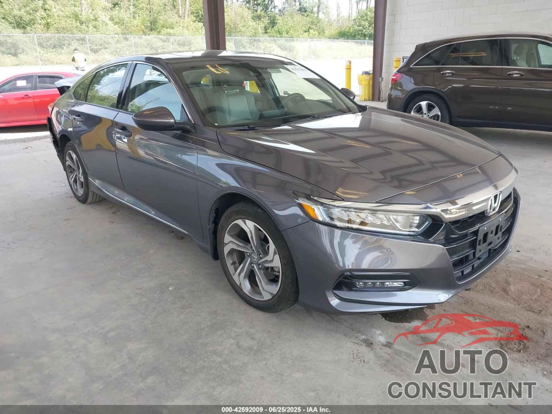 HONDA ACCORD 2019 - 1HGCV1F43KA150293